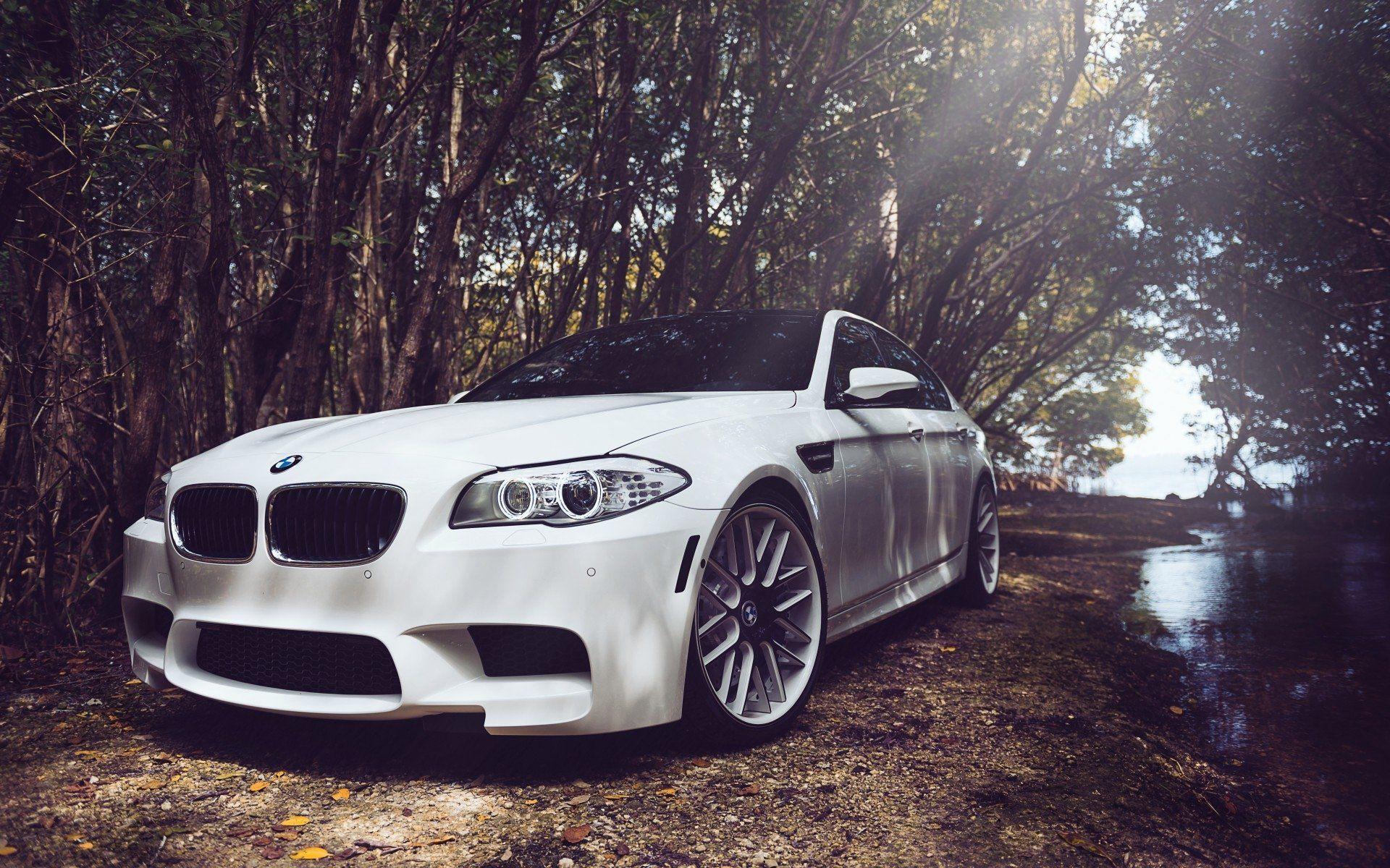 BMW M5 bianca nella foresta, 1920x1200 WUXGA, PC