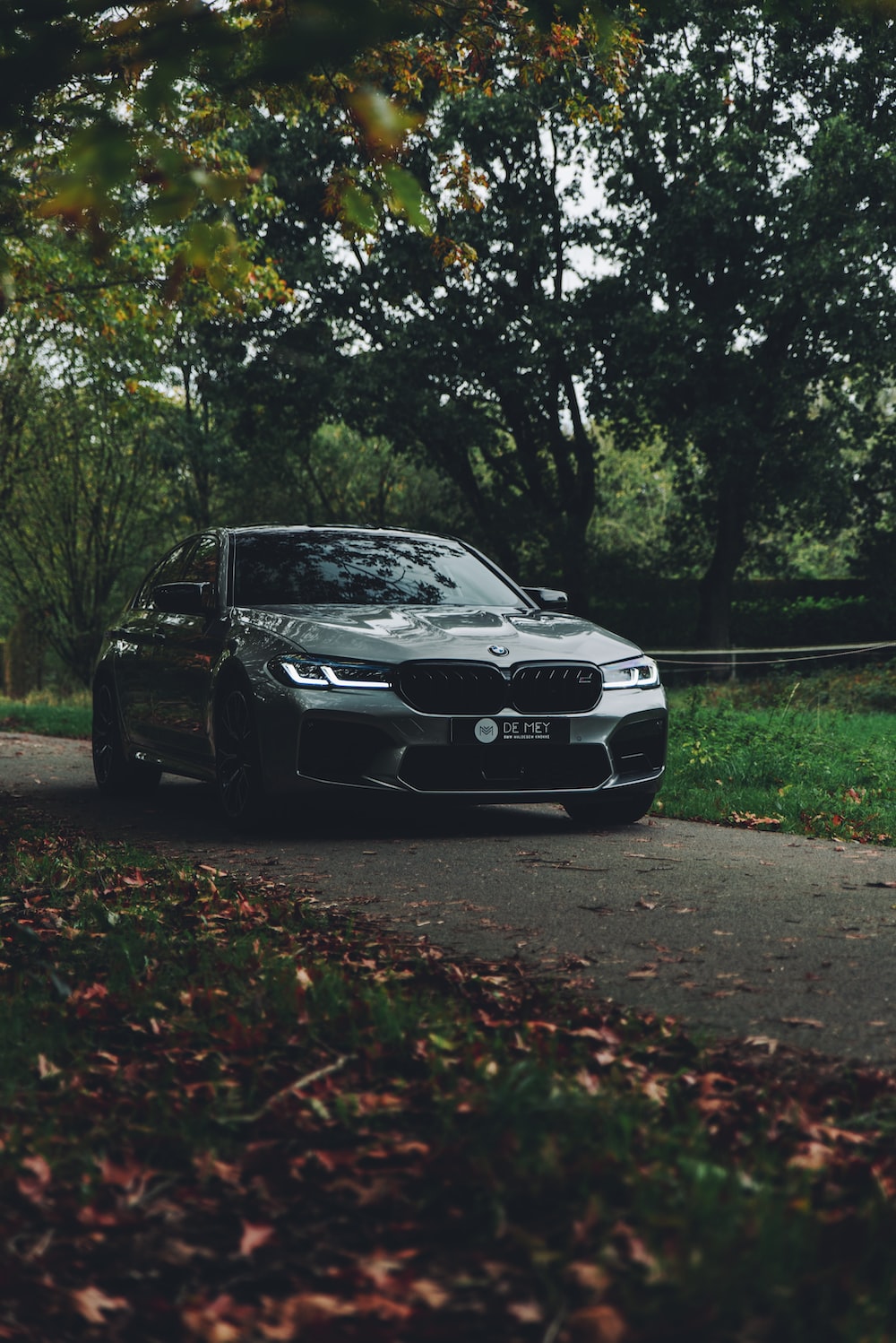 BMW M5 grigia strada alberata, 1000x1498 Full HD Verticale, iPhone