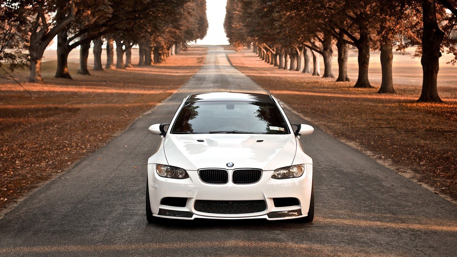 BMW bianca strada alberata, 1600x900 900p, Lenovo Legion