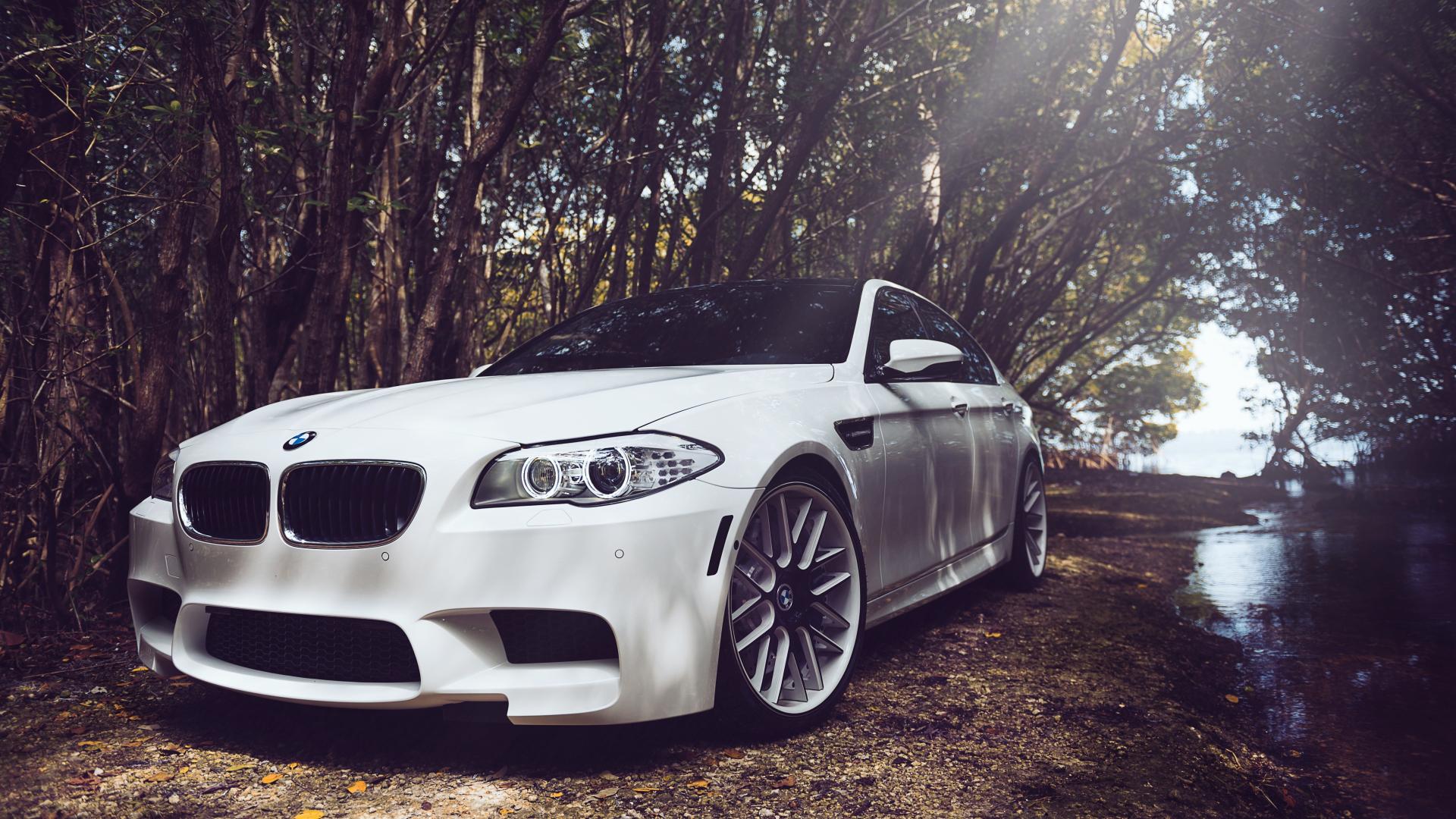 BMW M5 bianca nel bosco, 1920x1080 Full HD 1080p, HP Laptop