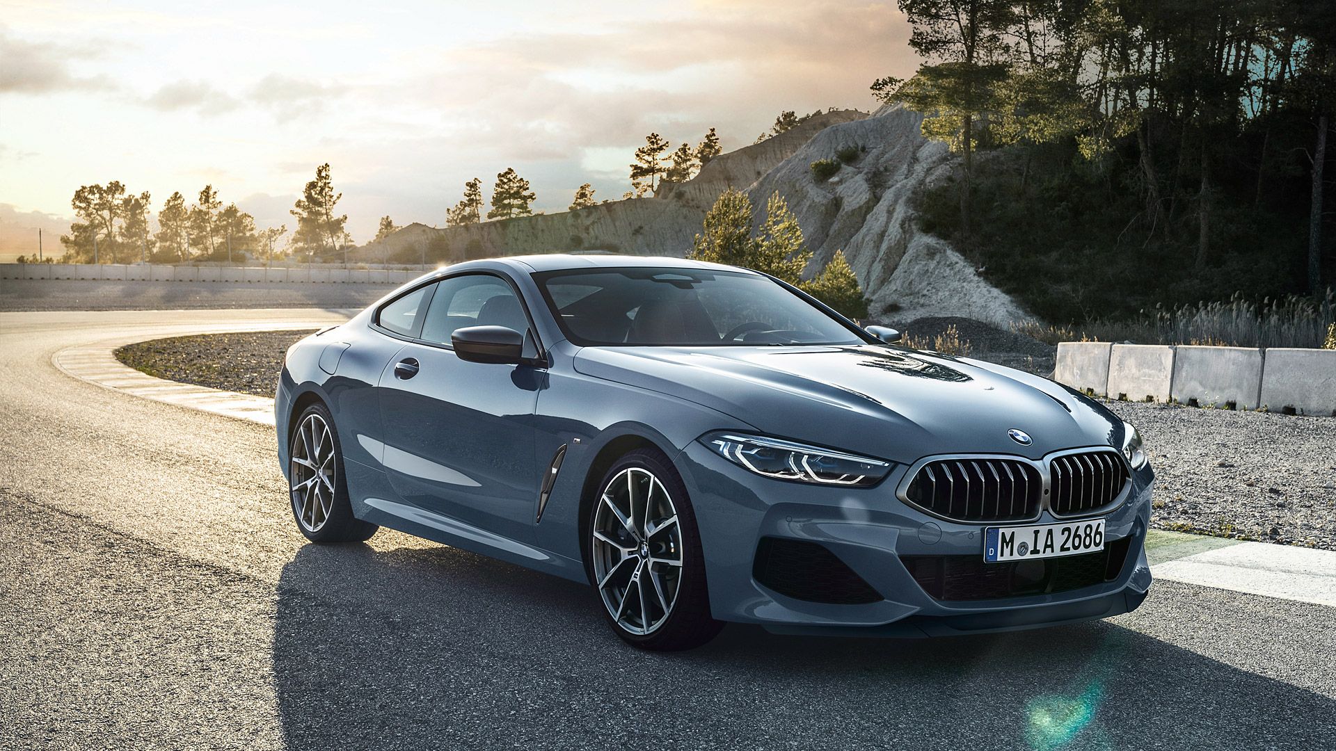 BMW Serie 8 Coupé grigia, 1920x1080 1080p, Dell XPS