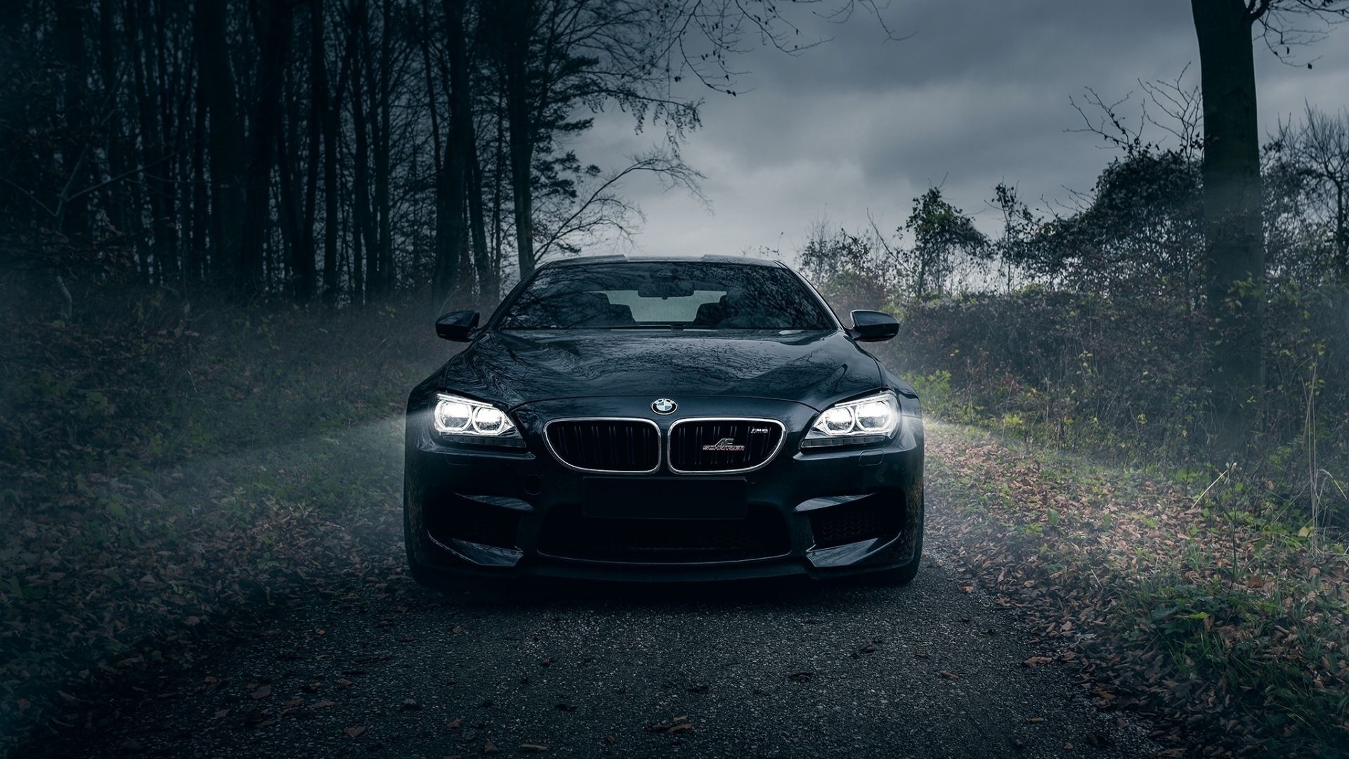 BMW nera su strada forestale, 1920x1080 Full HD, Laptop