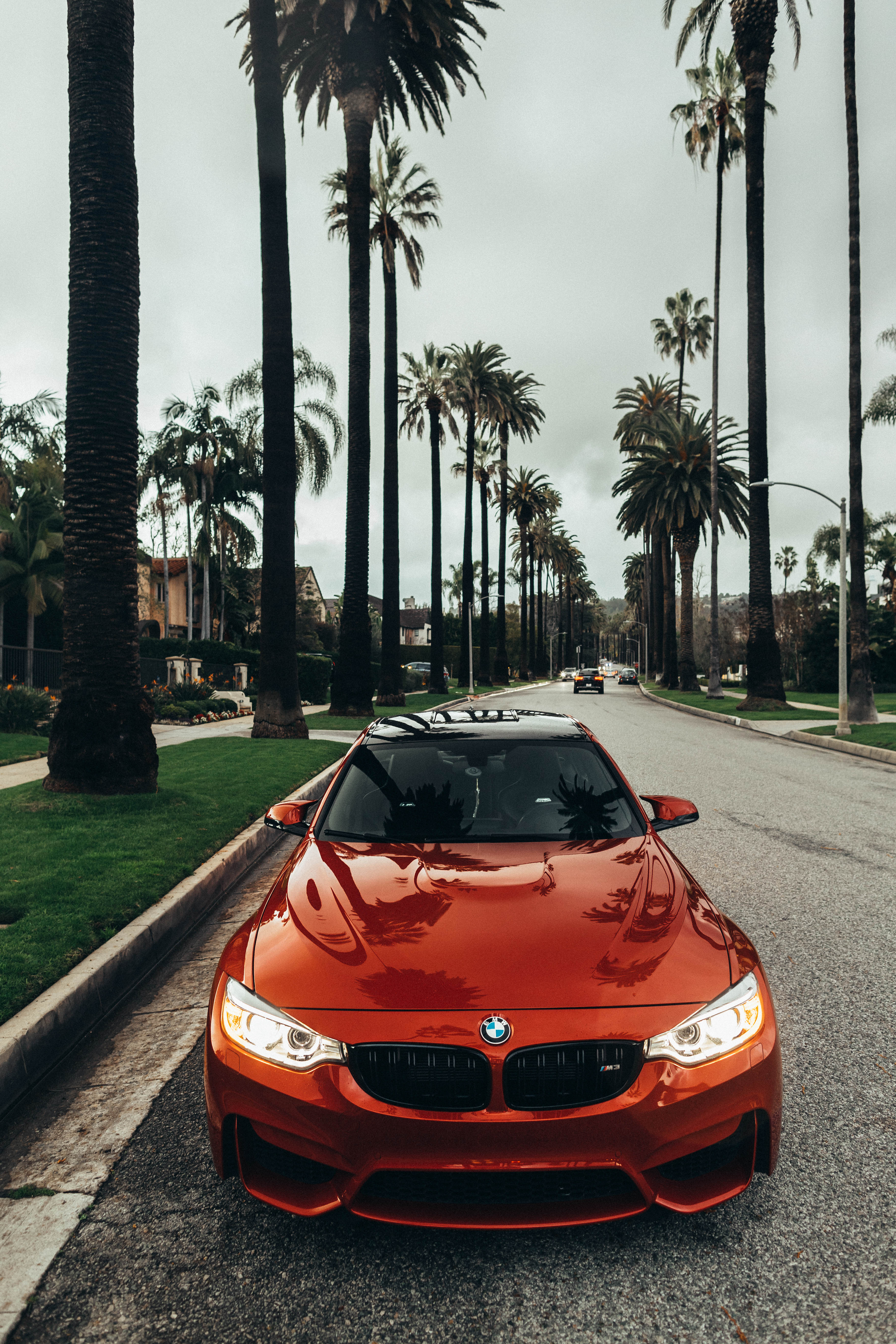 BMW arancione strada palme, 3648x5472 Verticale, Telefono