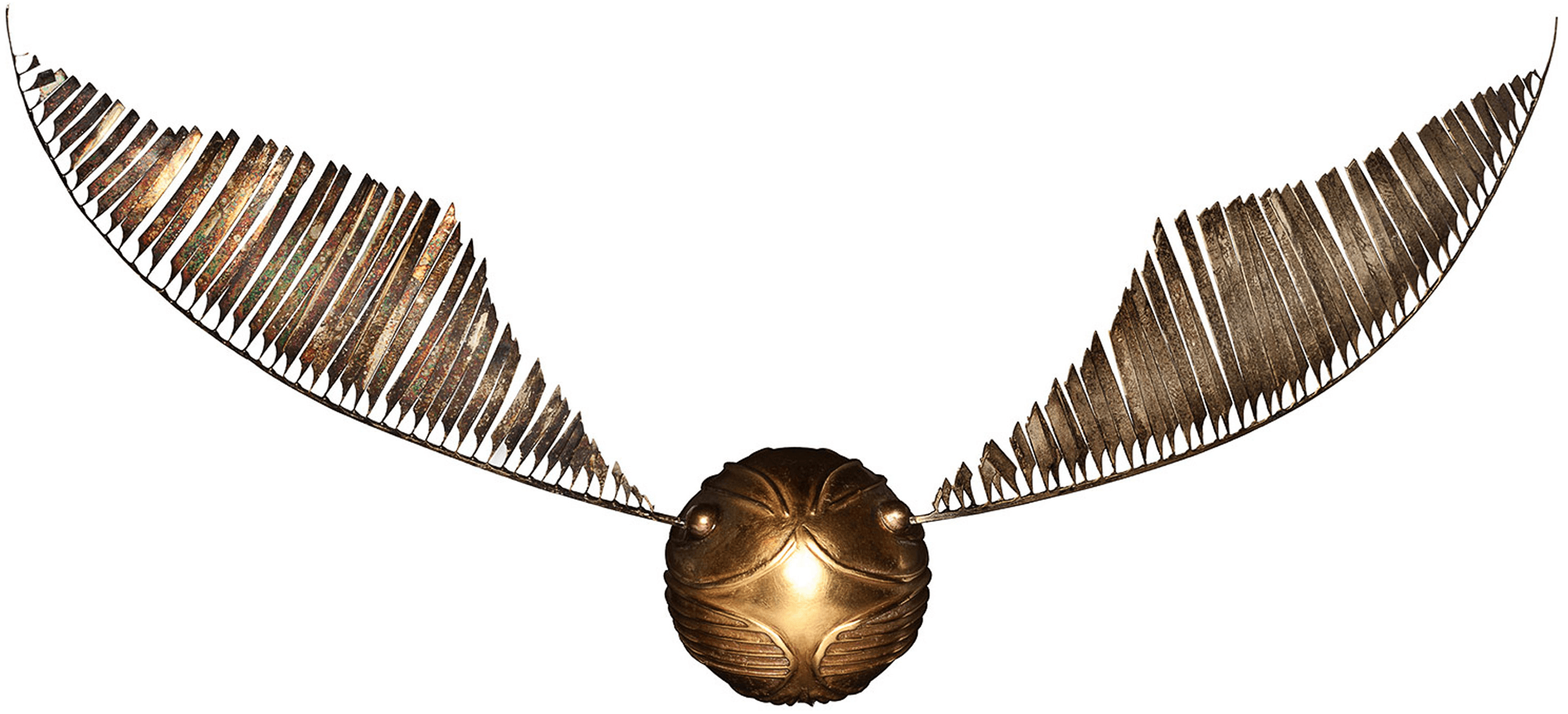 Boccino d'Oro Harry Potter maglietta, 1259x630 HD, Desktop