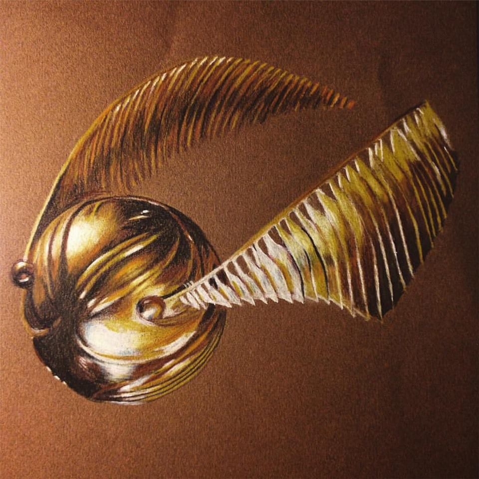 Boccino d'oro Harry Potter, J.K. Rowling, 960x960 HD, Laptop