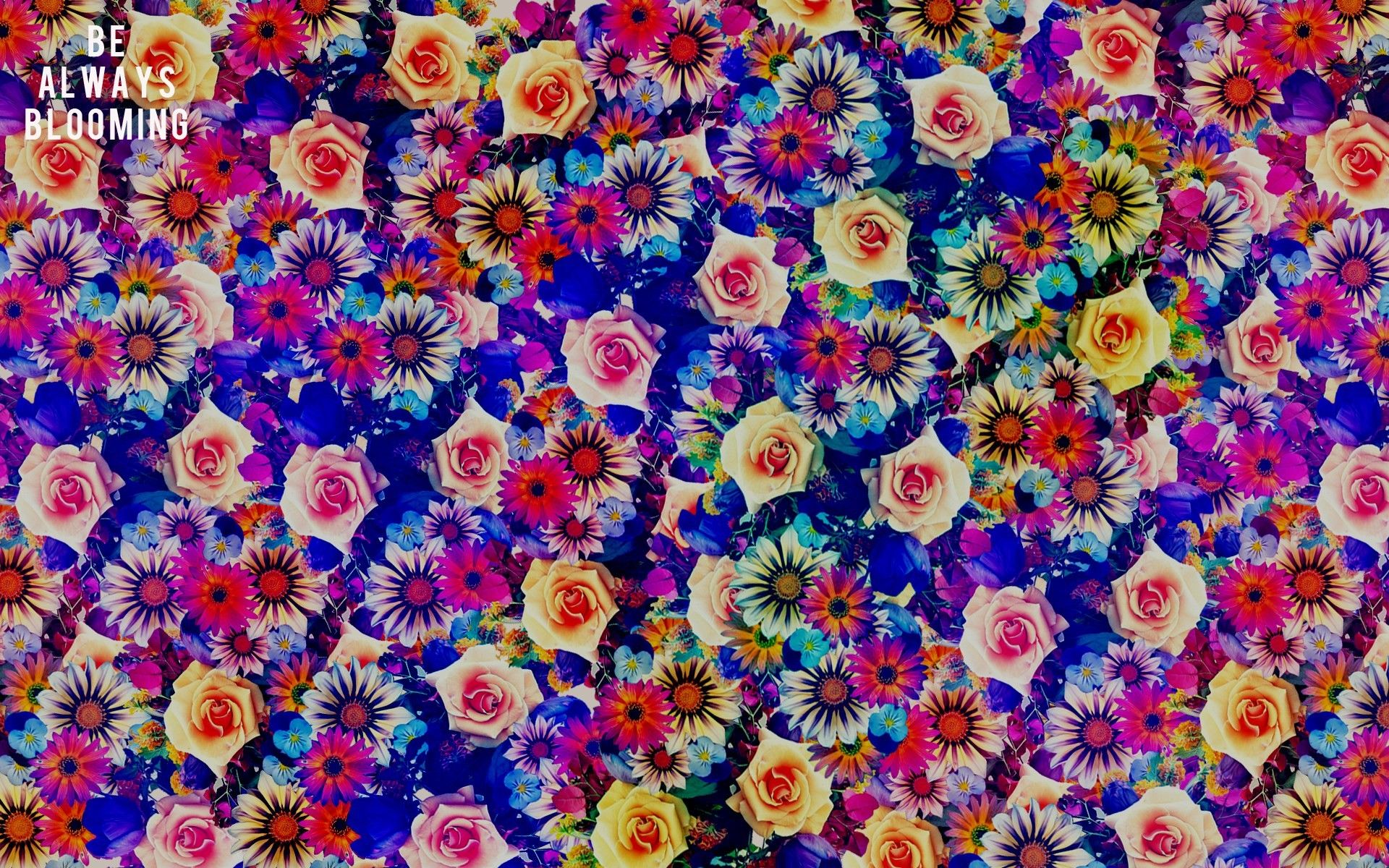 Bouquet acquerello fiori piume boho, 1300x716 HD, PC Desktop