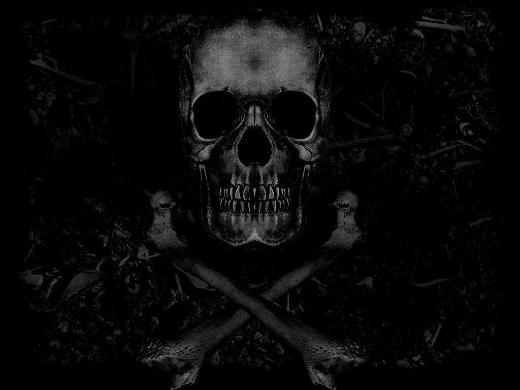 Cast serie TV Bones, 1280x1024 720p, PC