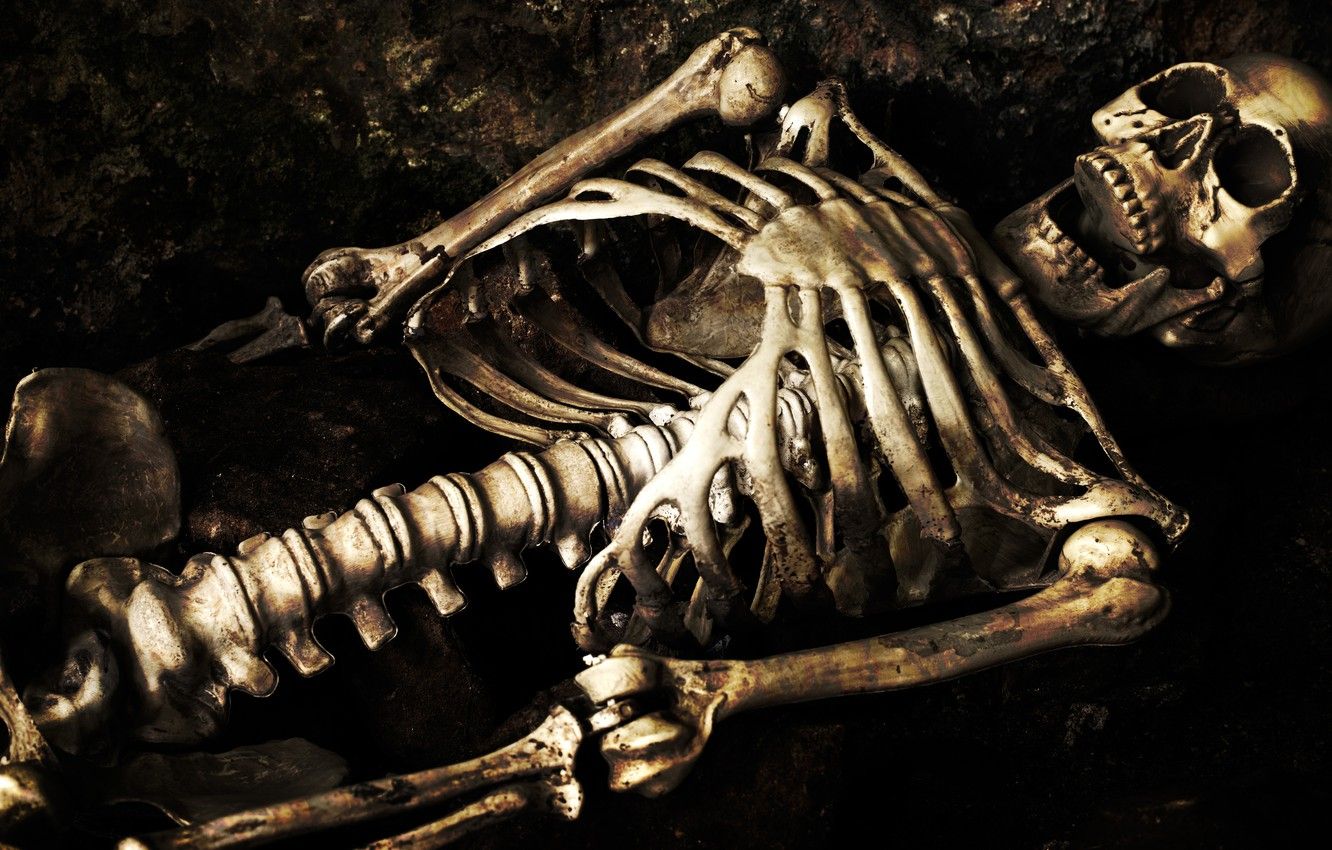 The Lovely Bones locandina film, 1536x2732 Full HD Verticale, iPhone