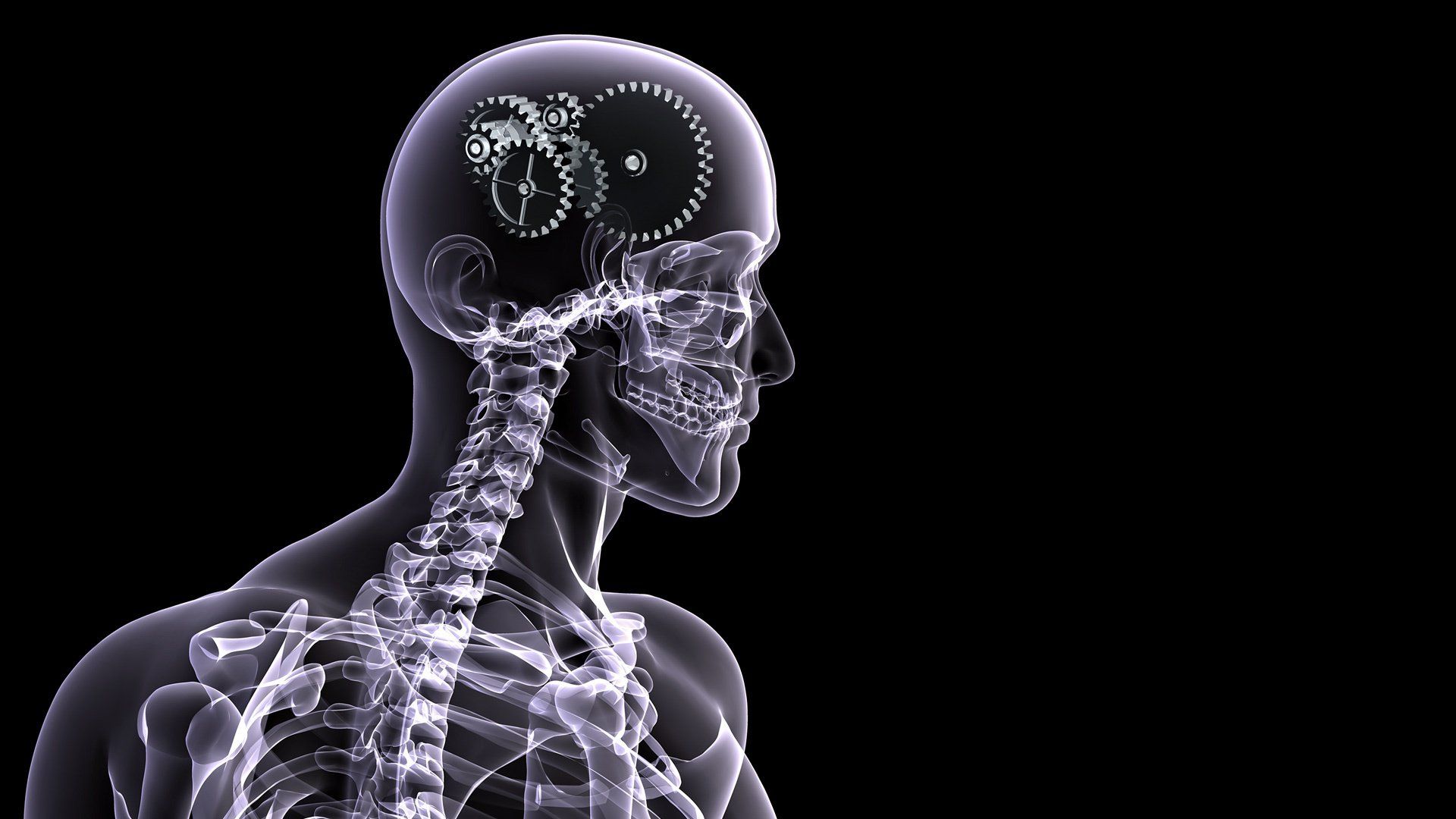 Bones serie TV personaggi, 1600x1200 HD Ready, Desktop