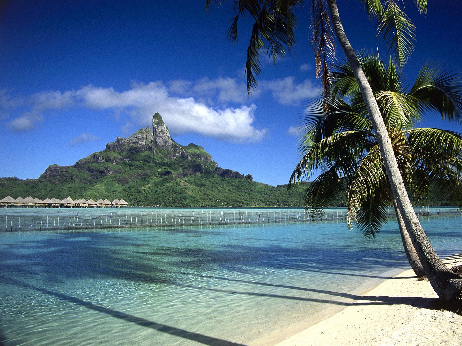 Bora Bora laguna e palme, 1600x1200 900p, PC Desktop