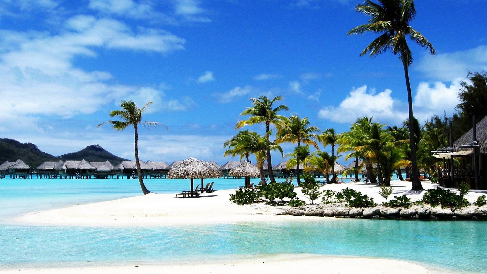 Spiaggia tropicale Bora Bora con palme, 1920x1080 1080p, Monitor Gaming
