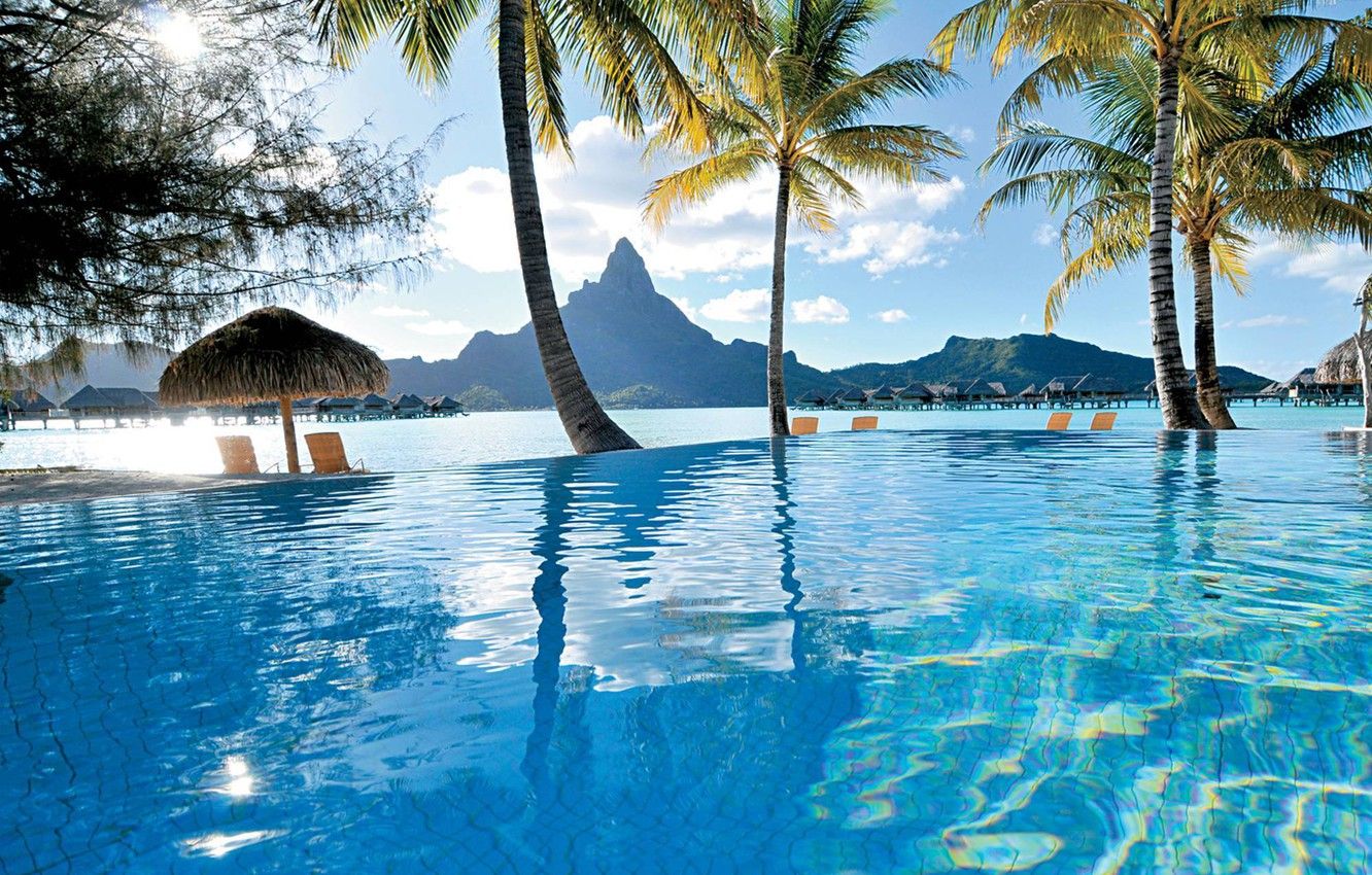Piscina resort Bora Bora, palme, 1332x850 720p, PC