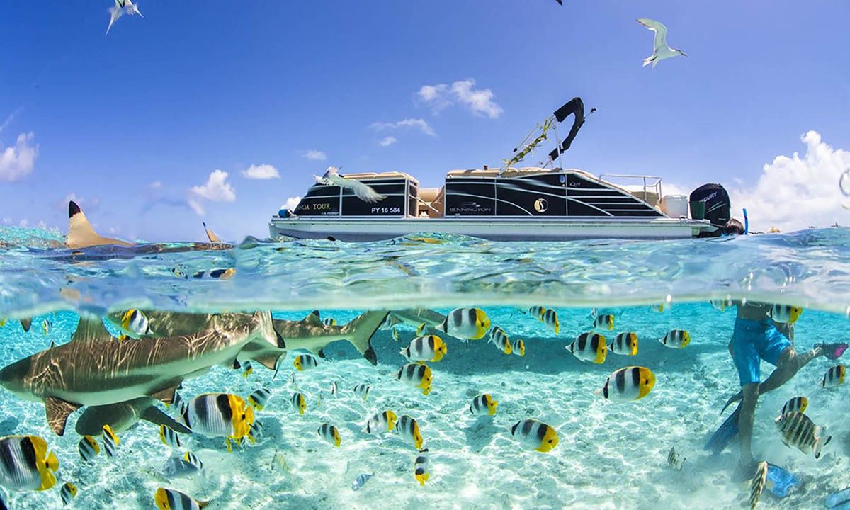 Barca vista subacquea con pesci tropicali, 1200x720 HD, PC Desktop