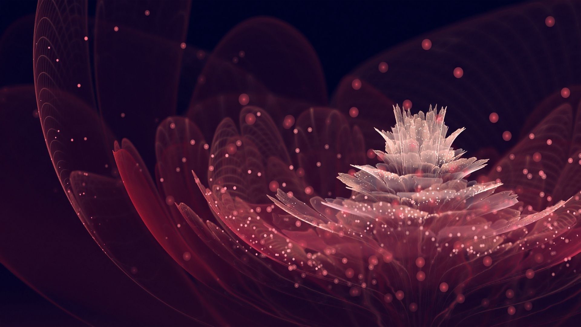 Fiore frattale bordeaux astratto, 1920x1080 1080p, PC