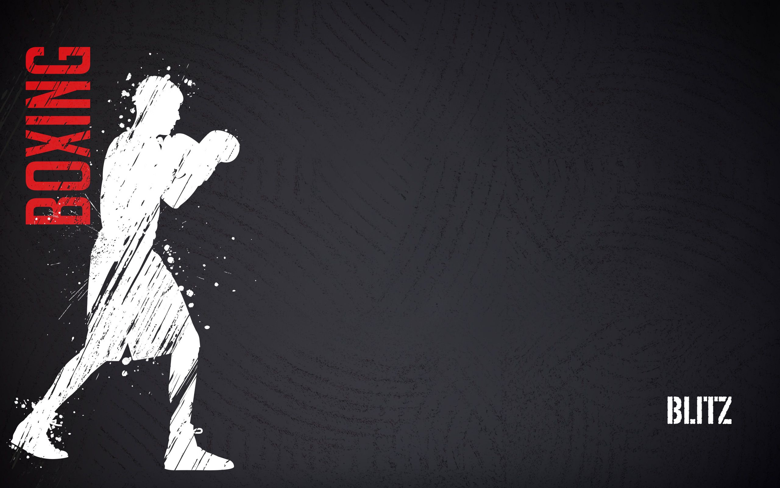 pugile silhouette scritta Boxing, 2560x1600 2K+, PC