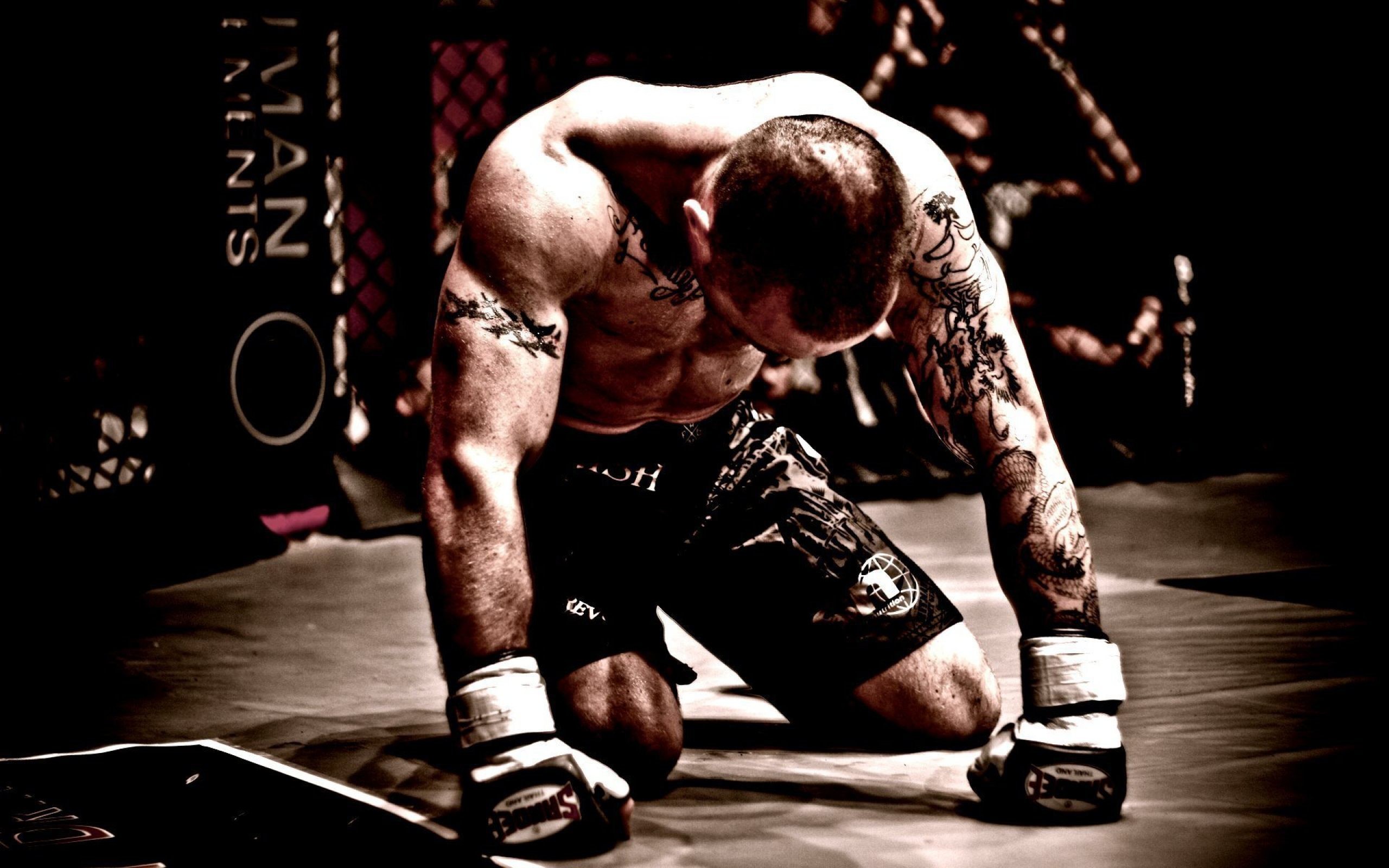 combattente inginocchiato gabbia MMA, 2560x1600 2K, PC