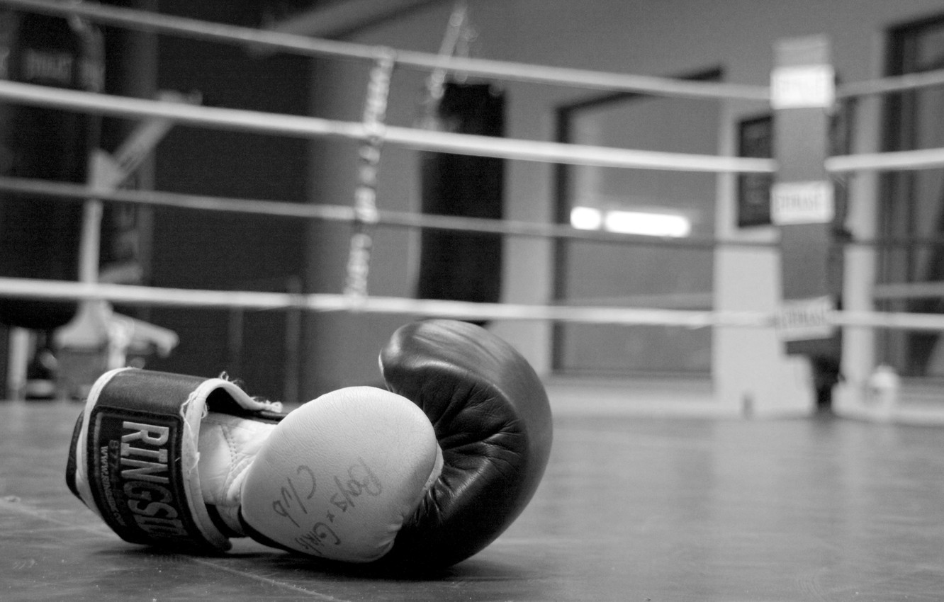 guantone boxe sul ring, 1332x850 720p, Laptop