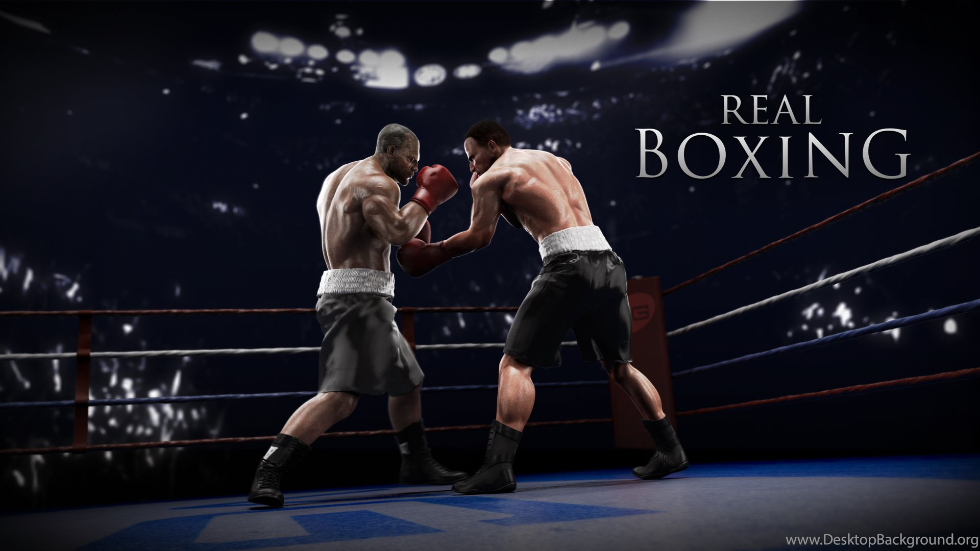 videogioco Real Boxing ring, 1920x1080 Full HD 1080p, PC Desktop