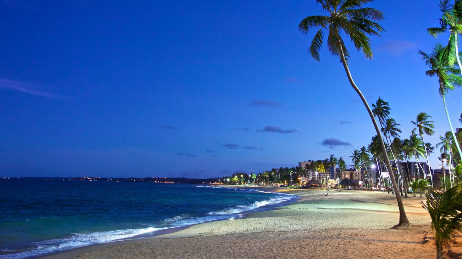 Spiaggia tropicale con palme, 1600x900 HD, Desktop