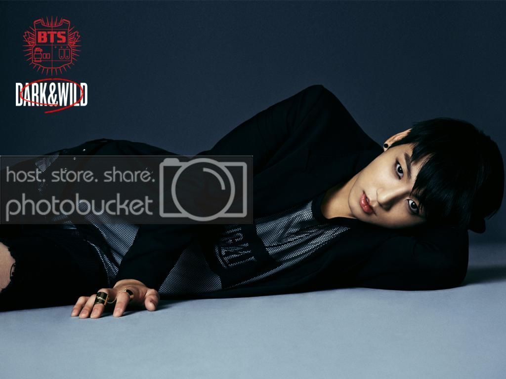 BTS gruppo Dark Wild, 1024x768 HD, Desktop