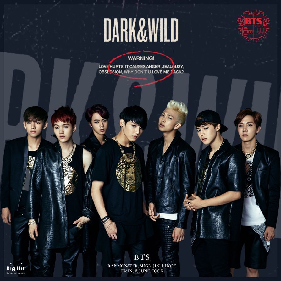 BTS Dark and Wild album cover, gruppo K-pop, 894x894 HD, Desktop