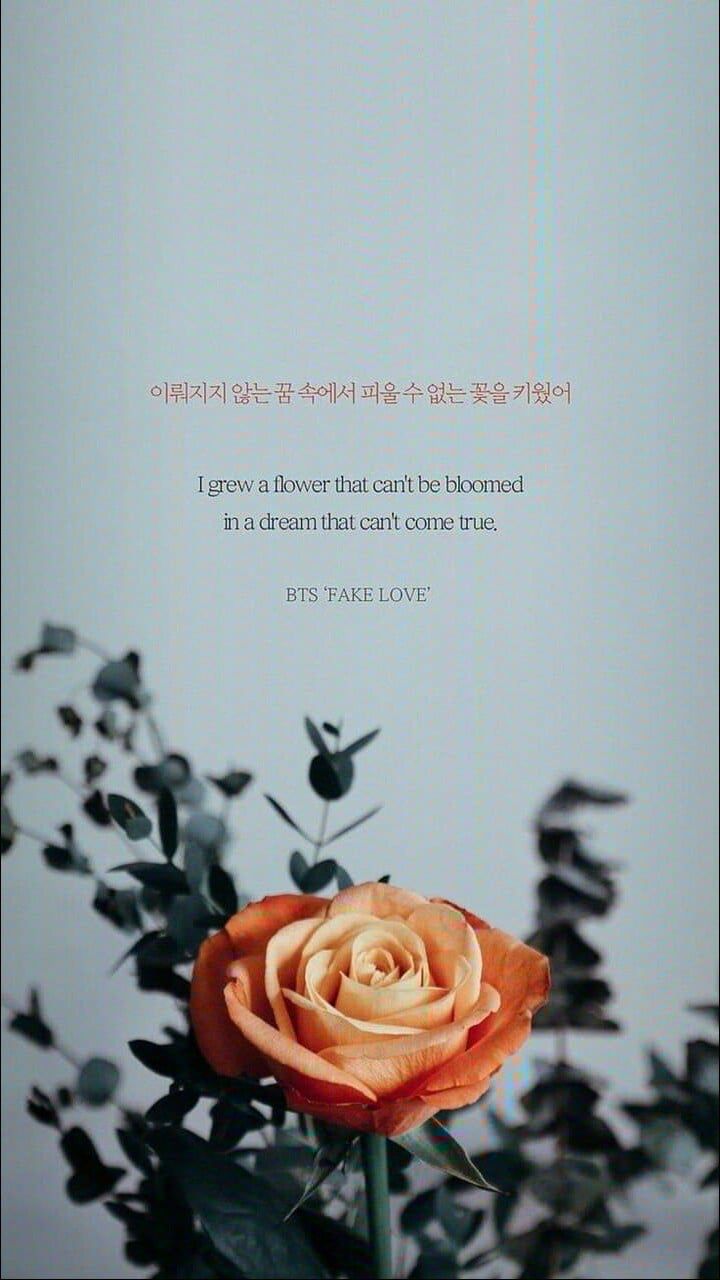 Citazione BTS Fake Love rosa, 720x1280 Full HD Verticale, iPhone