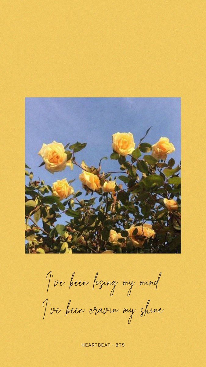 Rose gialle citazione BTS, 675x1200 Verticale, Mobile