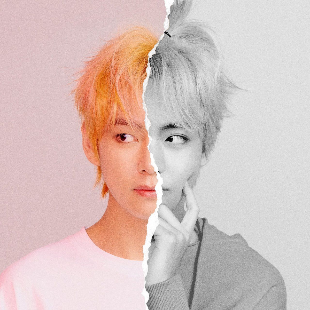 V BTS ritratto colore/bianco nero, 1280x1279 HD, Desktop