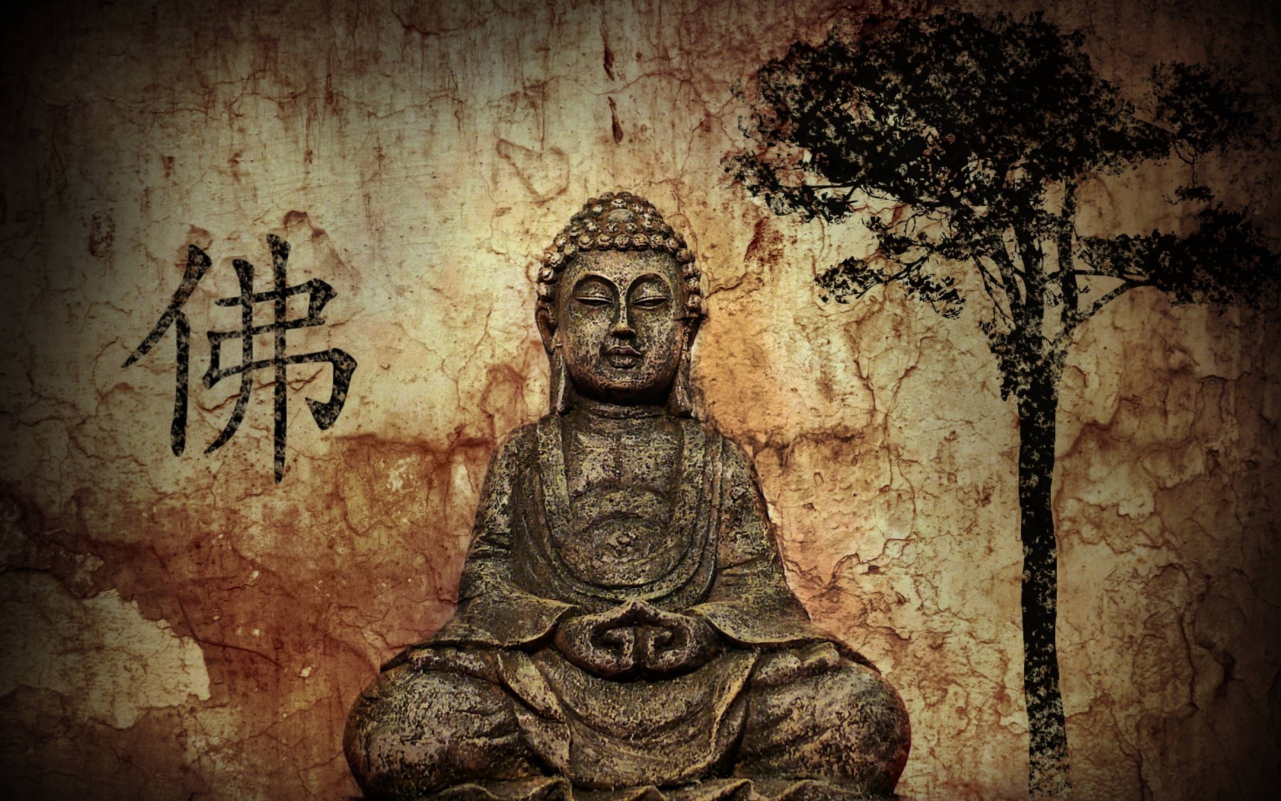 Statua Buddha meditazione albero, 2560x1600 2K, Desktop
