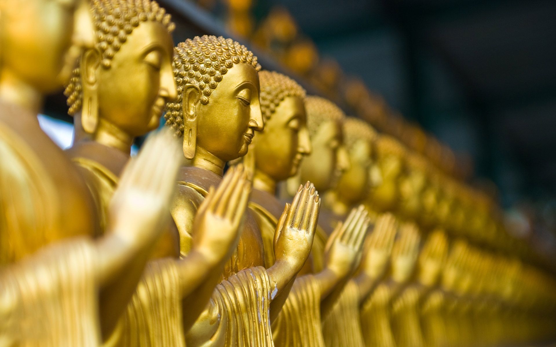Statue dorate del Buddha in fila, 1920x1200 Full HD+ WUXGA, Monitor Gaming
