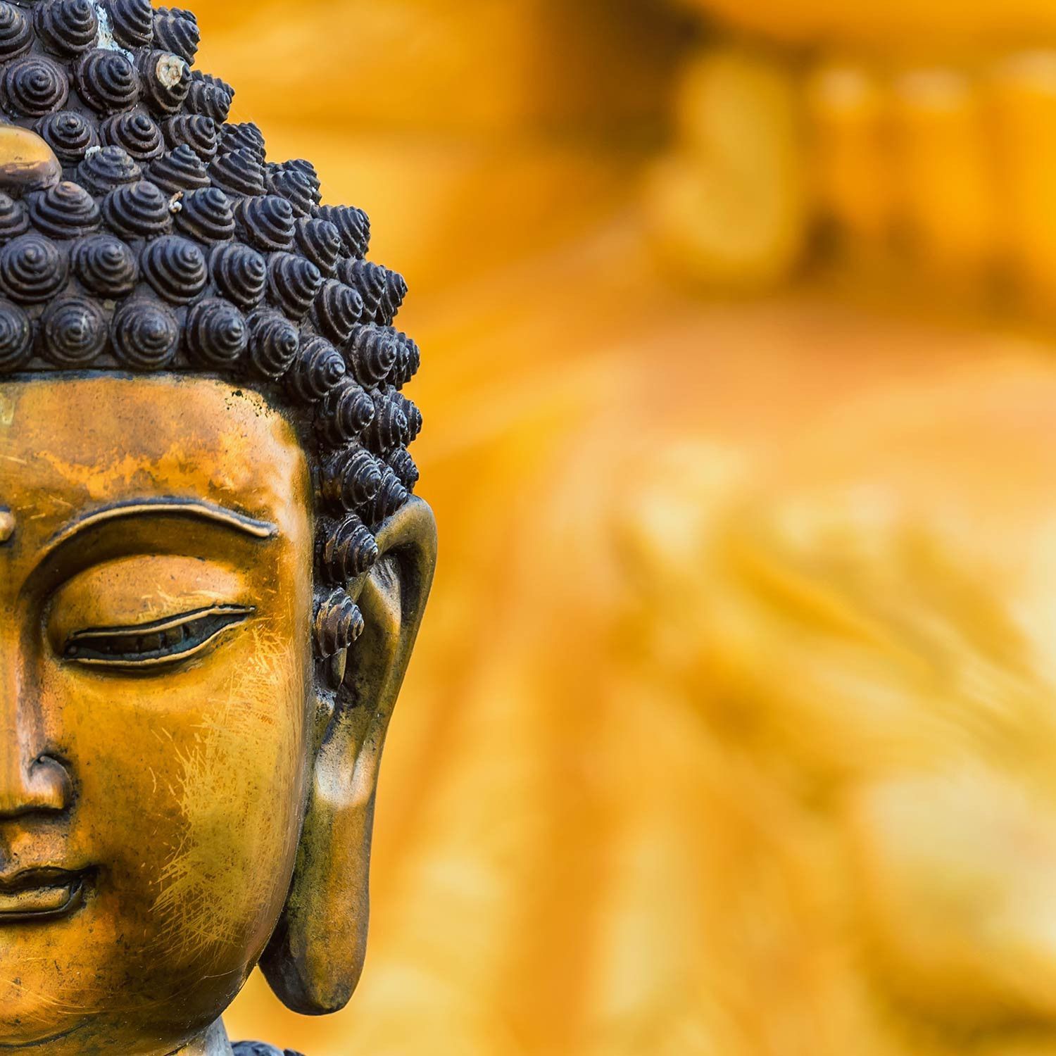 Statua Buddha dorata, primo piano, 1500x1500 HD, Desktop