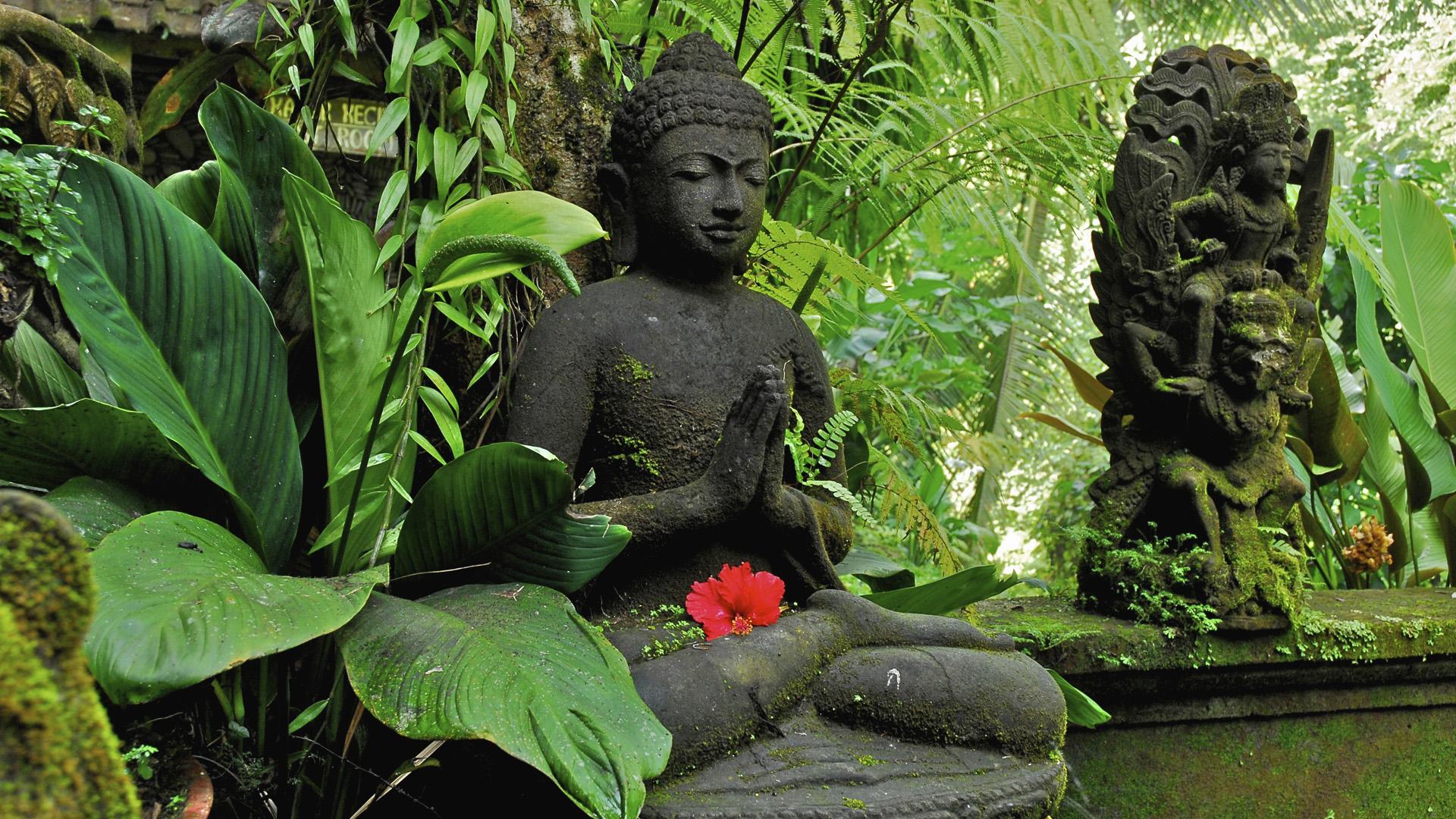 Statua di Buddha in giardino, 1920x1080 Full HD, PC