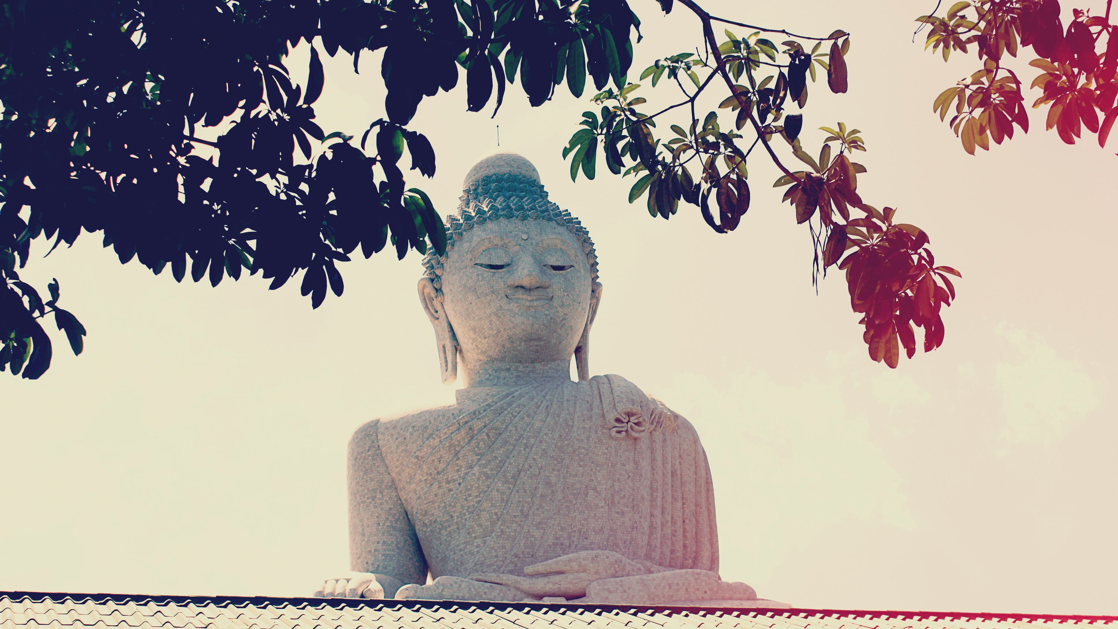 Statua di Buddha con foglie, 3840x2160 Ultra HD, PC