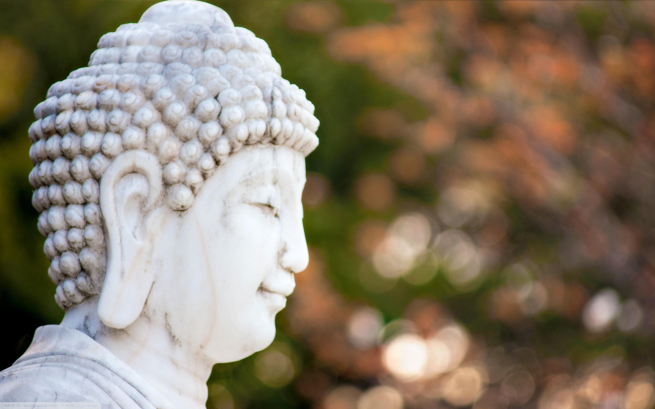 Statua Buddha bianca profilo, 2560x1600 2K+, PC