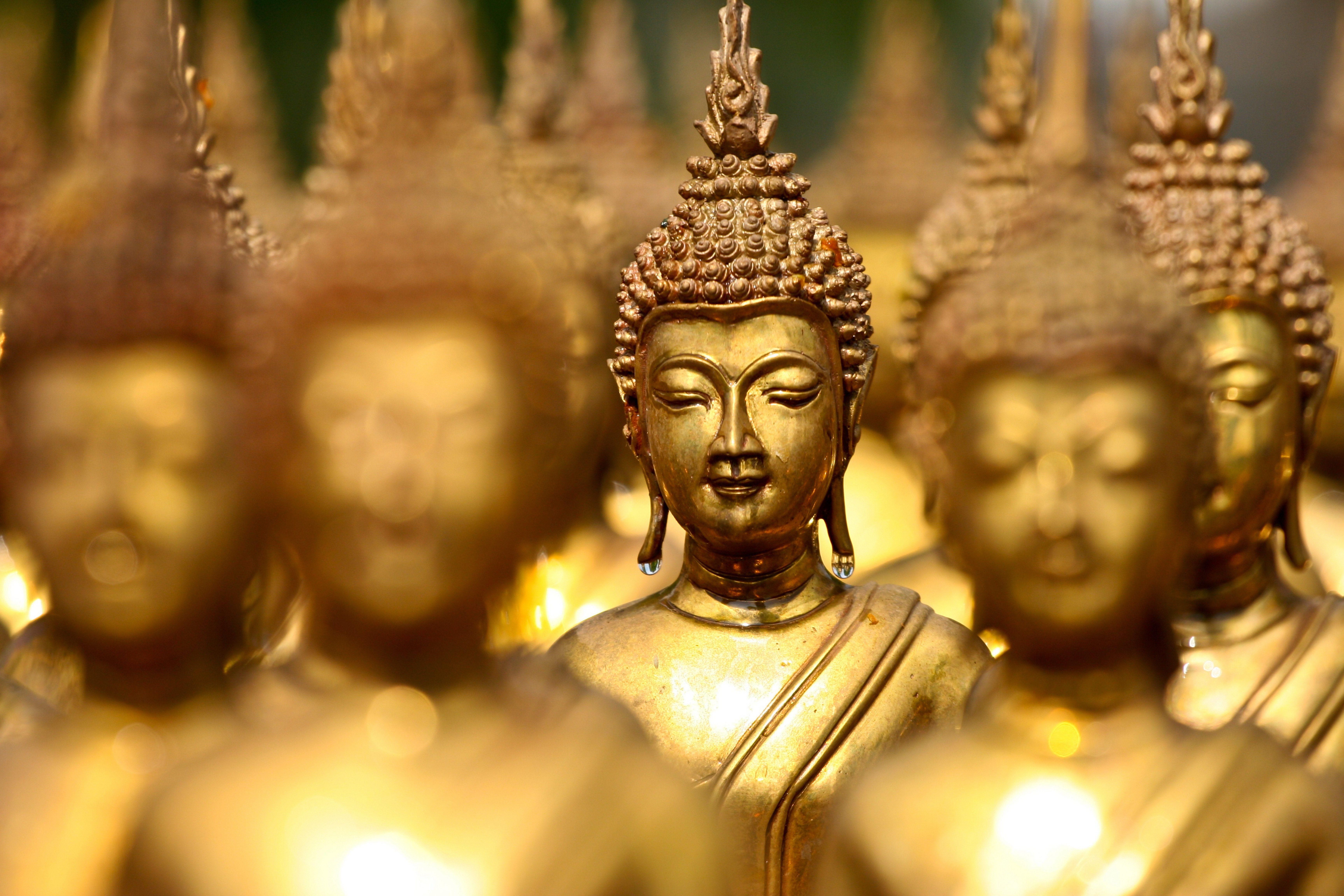 Statue dorate di Buddha, 6912x4608 4K, PC Desktop