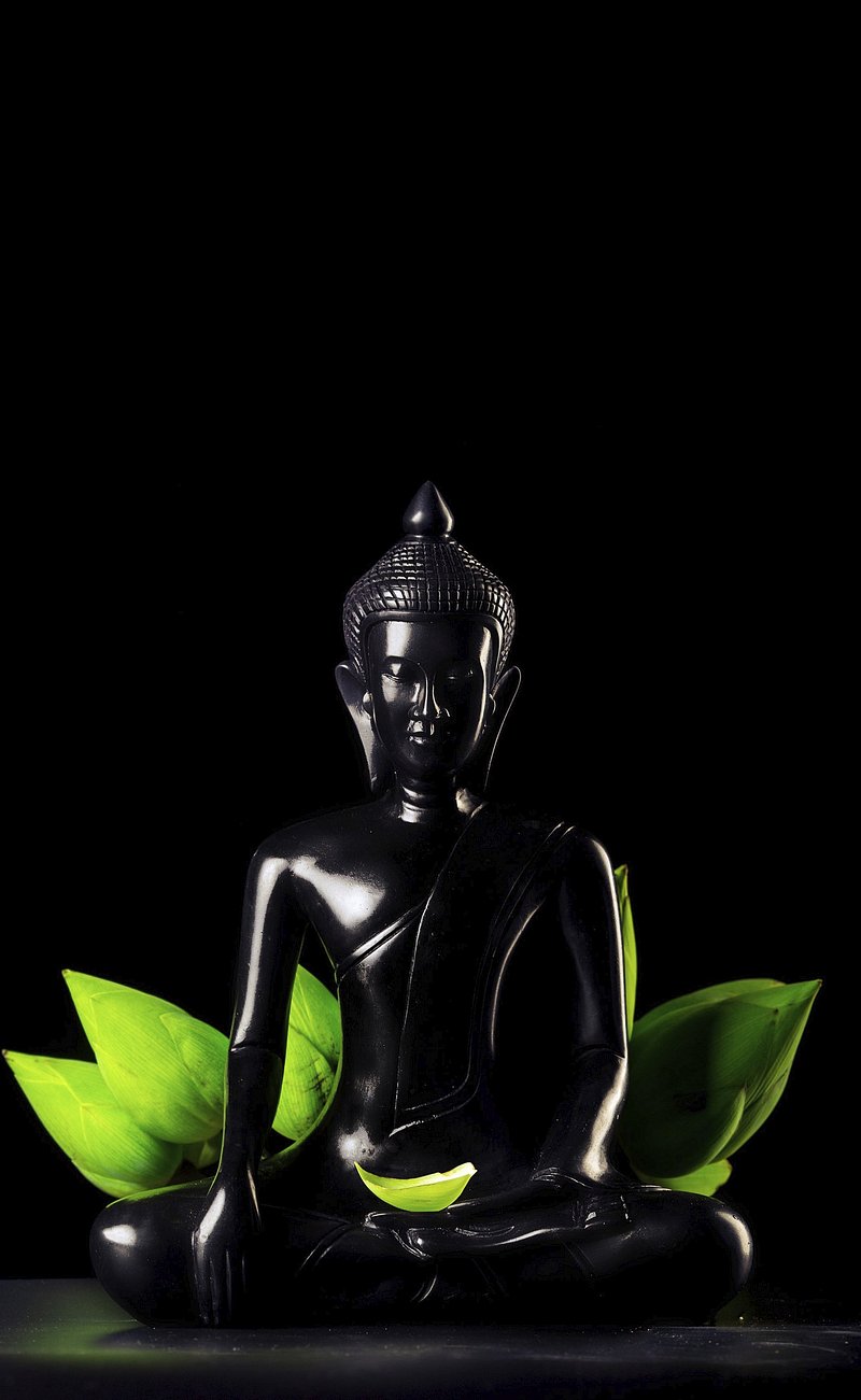 Statua Buddha nero con foglie, 800x1301 Verticale, Mobile