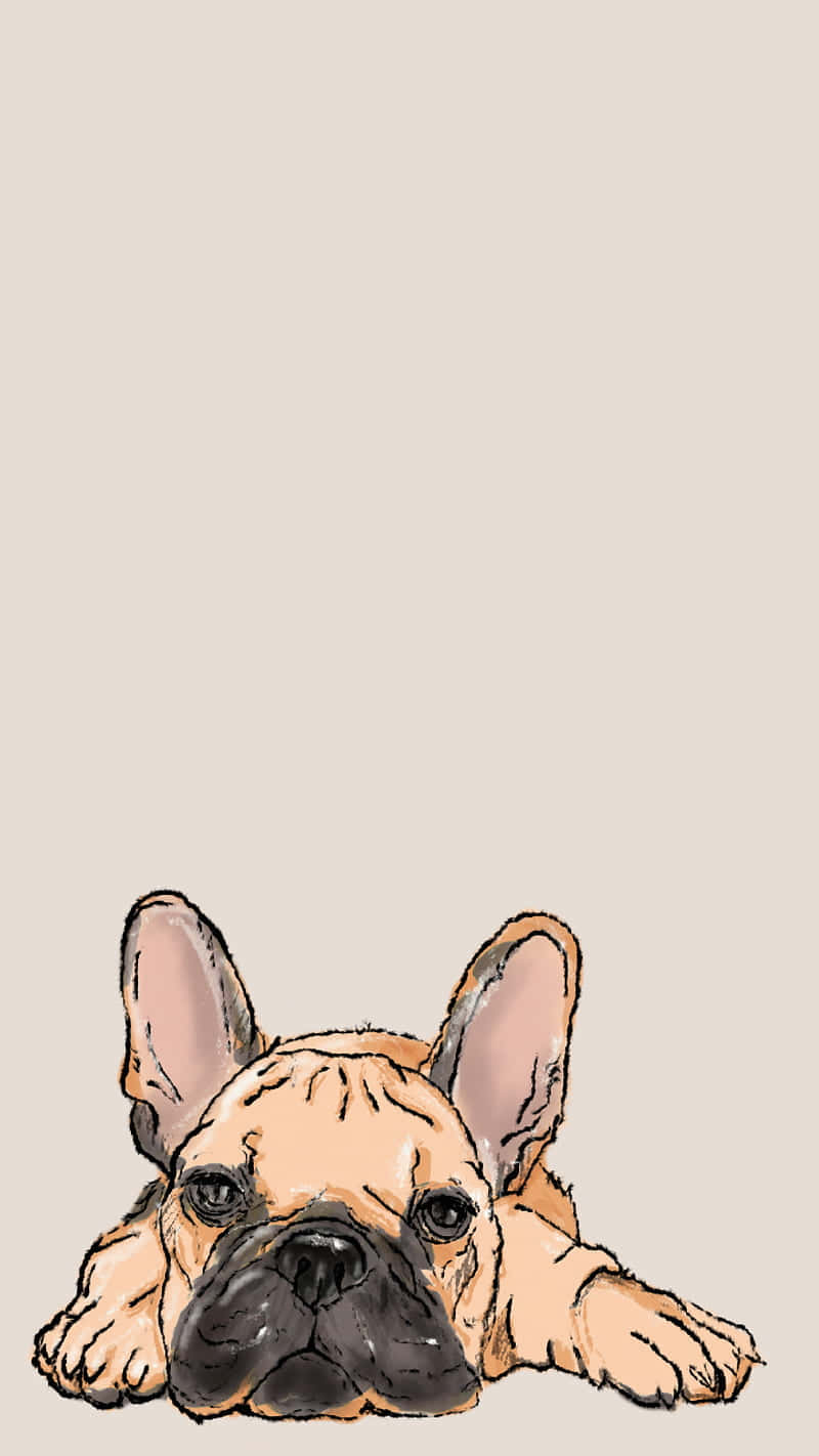 Bulldog francese disegno vettoriale, 800x1422 Full HD Verticale, Smartphone
