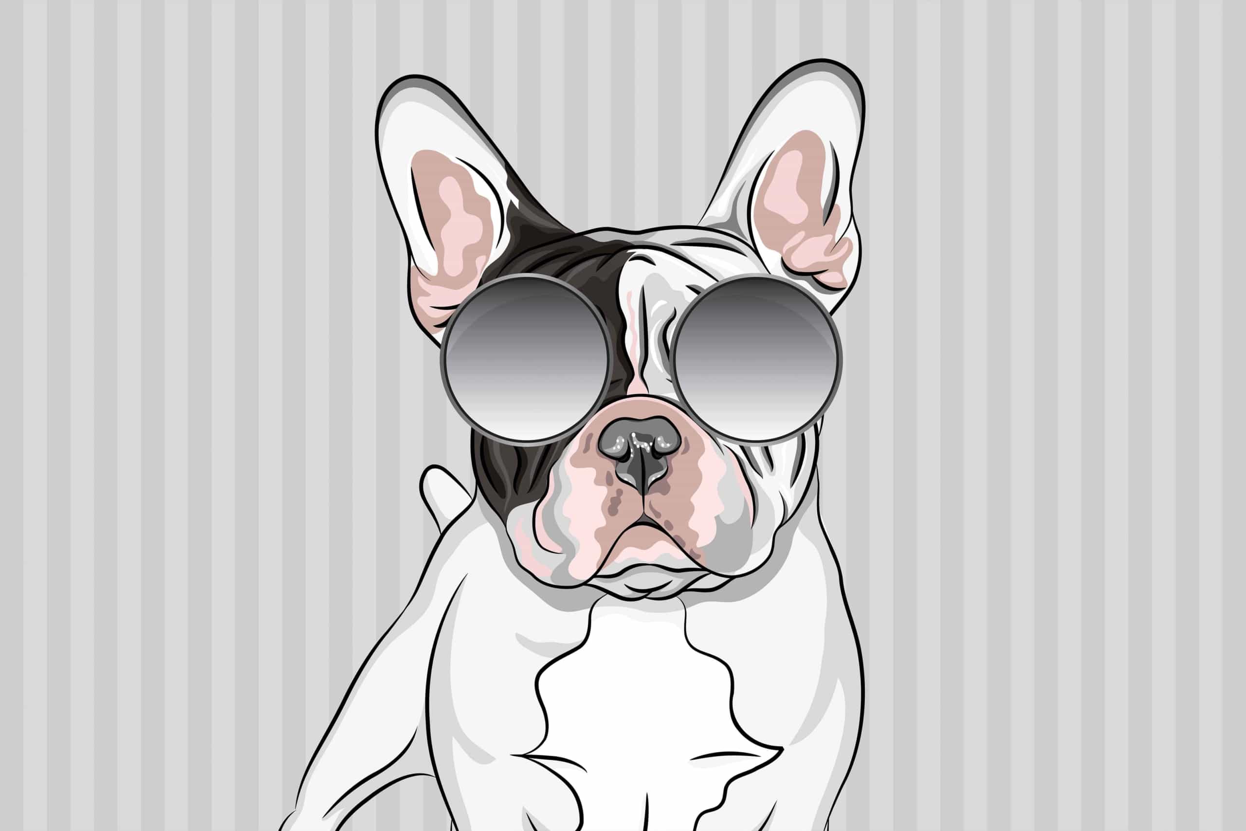 Bulldog francese con occhiali da sole, 2560x1707 2K, Desktop
