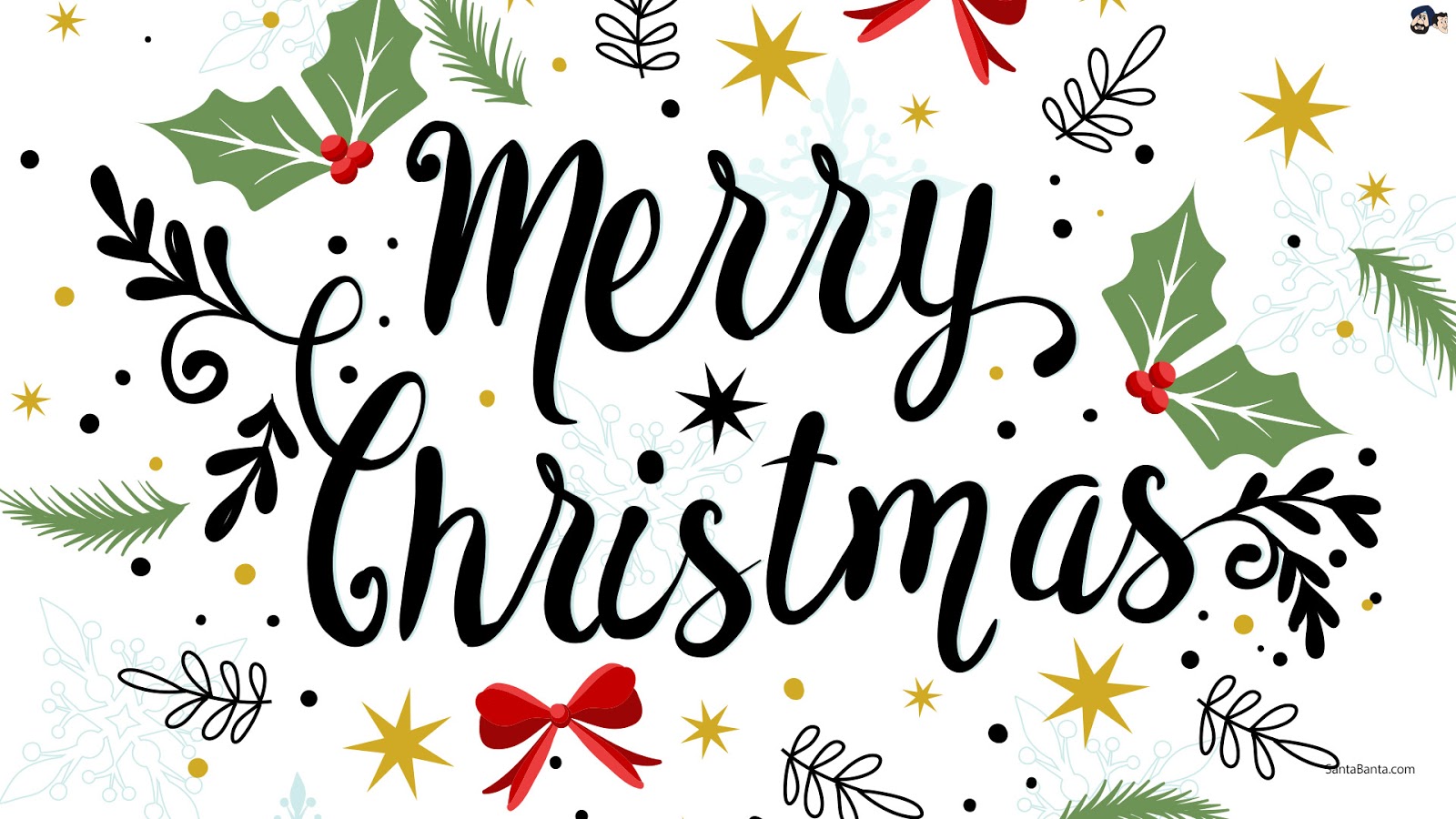 Scritta Merry Christmas con agrifoglio, 1600x900 HD, Laptop