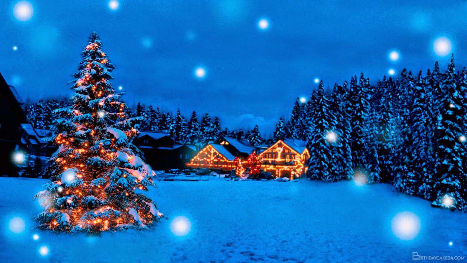 Albero di Natale illuminato nella neve, 1600x900 HD, PC