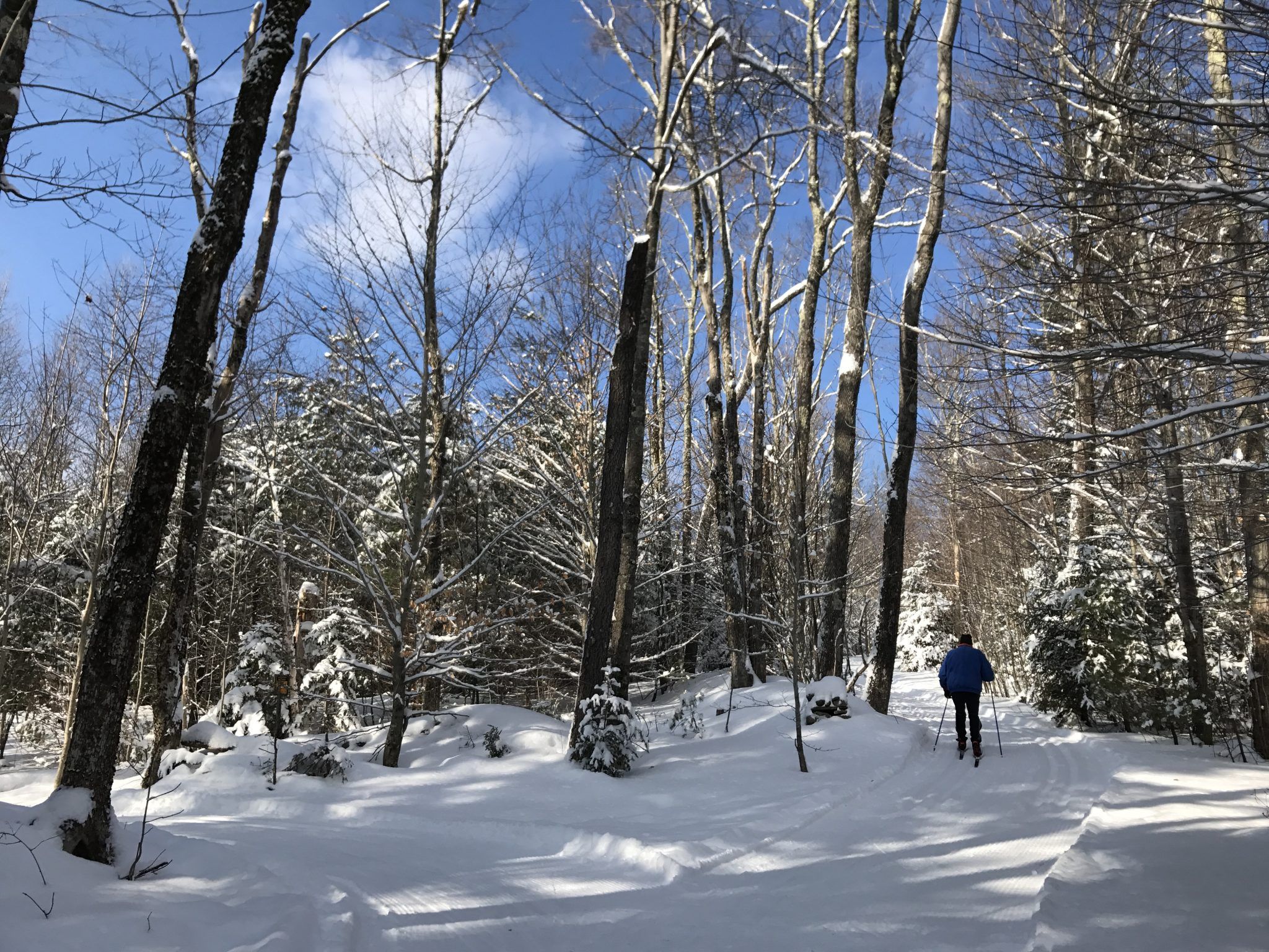 Fiume ghiacciato tra alberi innevati, 3840x2160 Ultra HD, Monitor 4K