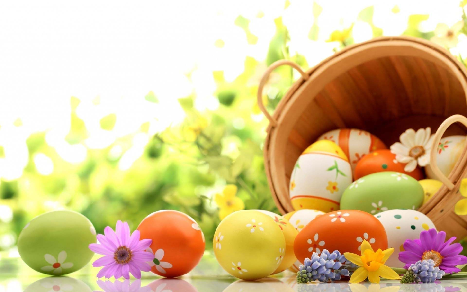 Cesto con uova di Pasqua colorate, 1920x1200 WUXGA, Desktop
