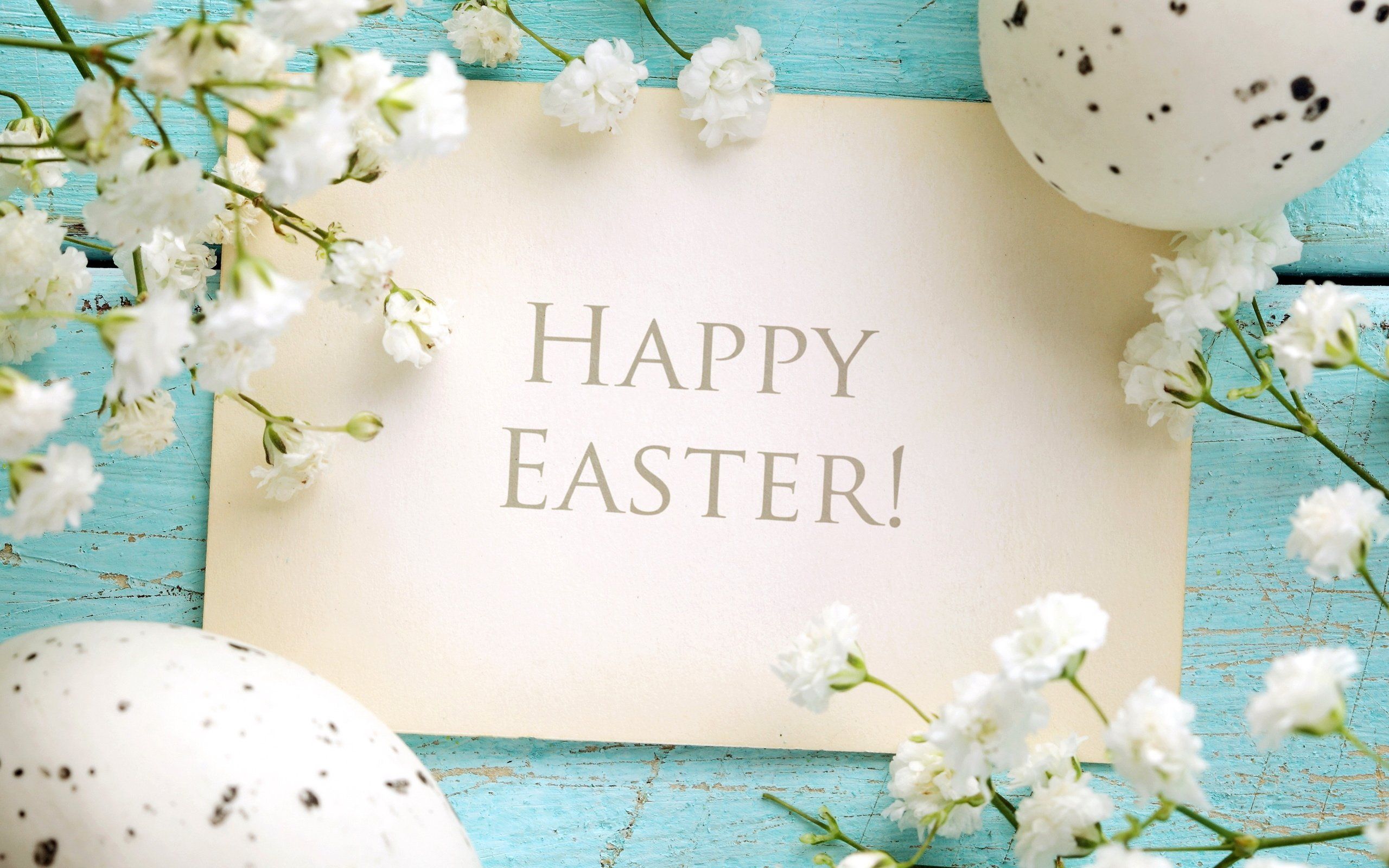Biglietto Happy Easter uova bianche, 2560x1600 2K, Desktop