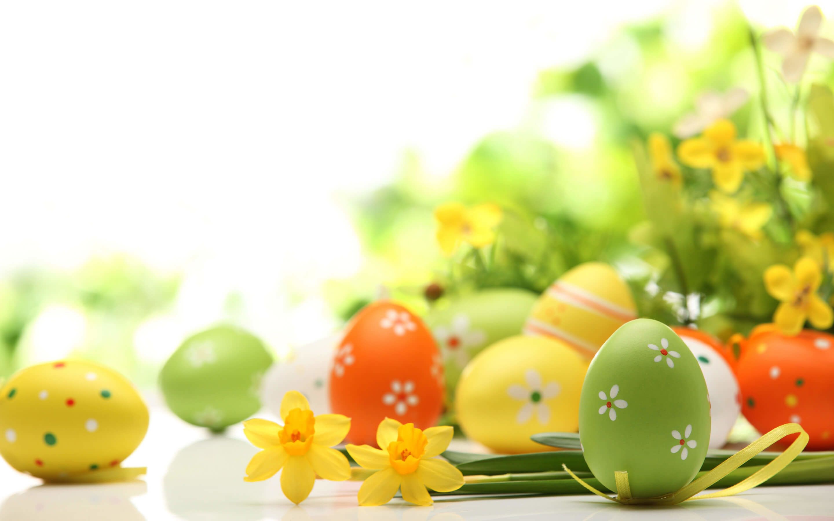 Uova di Pasqua colorate e narcisi, 2880x1800 2K, Desktop