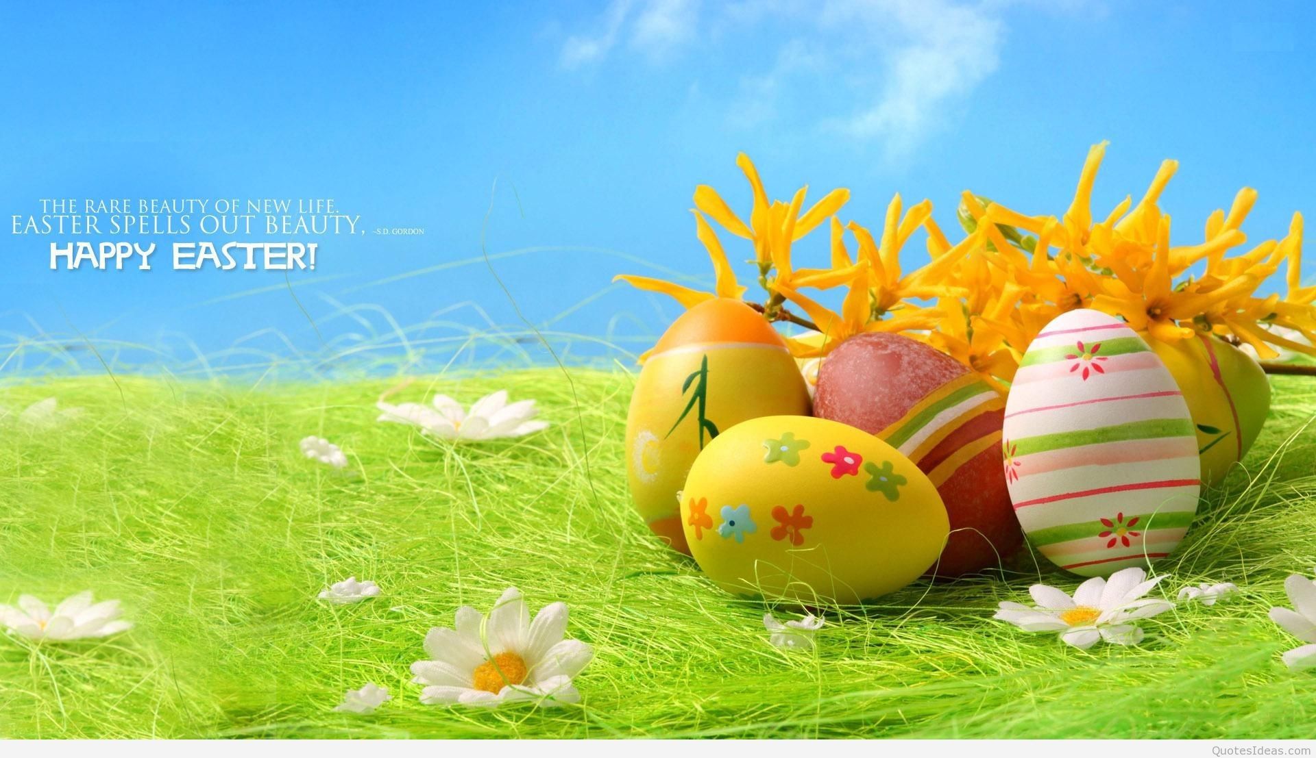 Uova pasquali decorate su erba, 1920x1107 Full HD 1080p, iMac