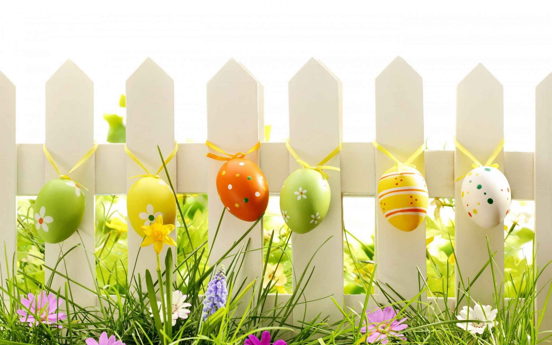 Uova pasquali su steccato bianco, 1920x1200 Full HD+, Desktop