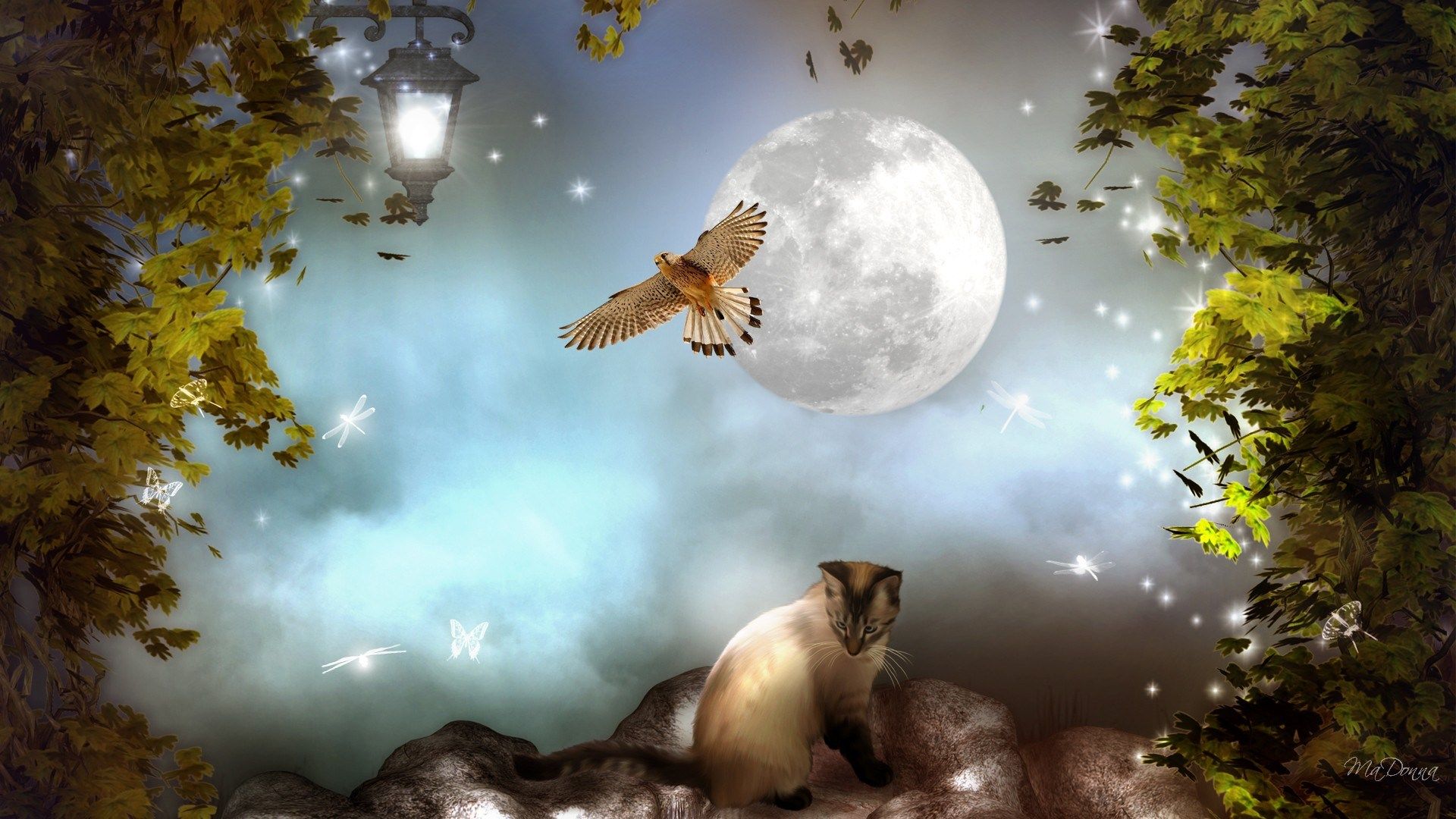 Good Night luna viola nuvole, 1600x1556 HD Ready, Laptop