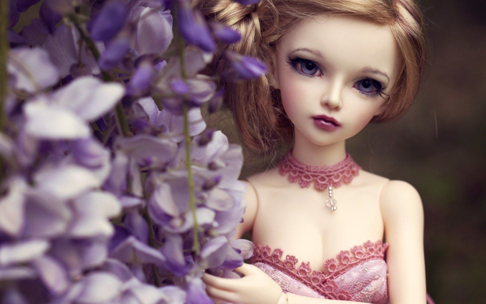 Bambola BJD con fiori viola, 1680x1050 HD, ROG Asus Laptop