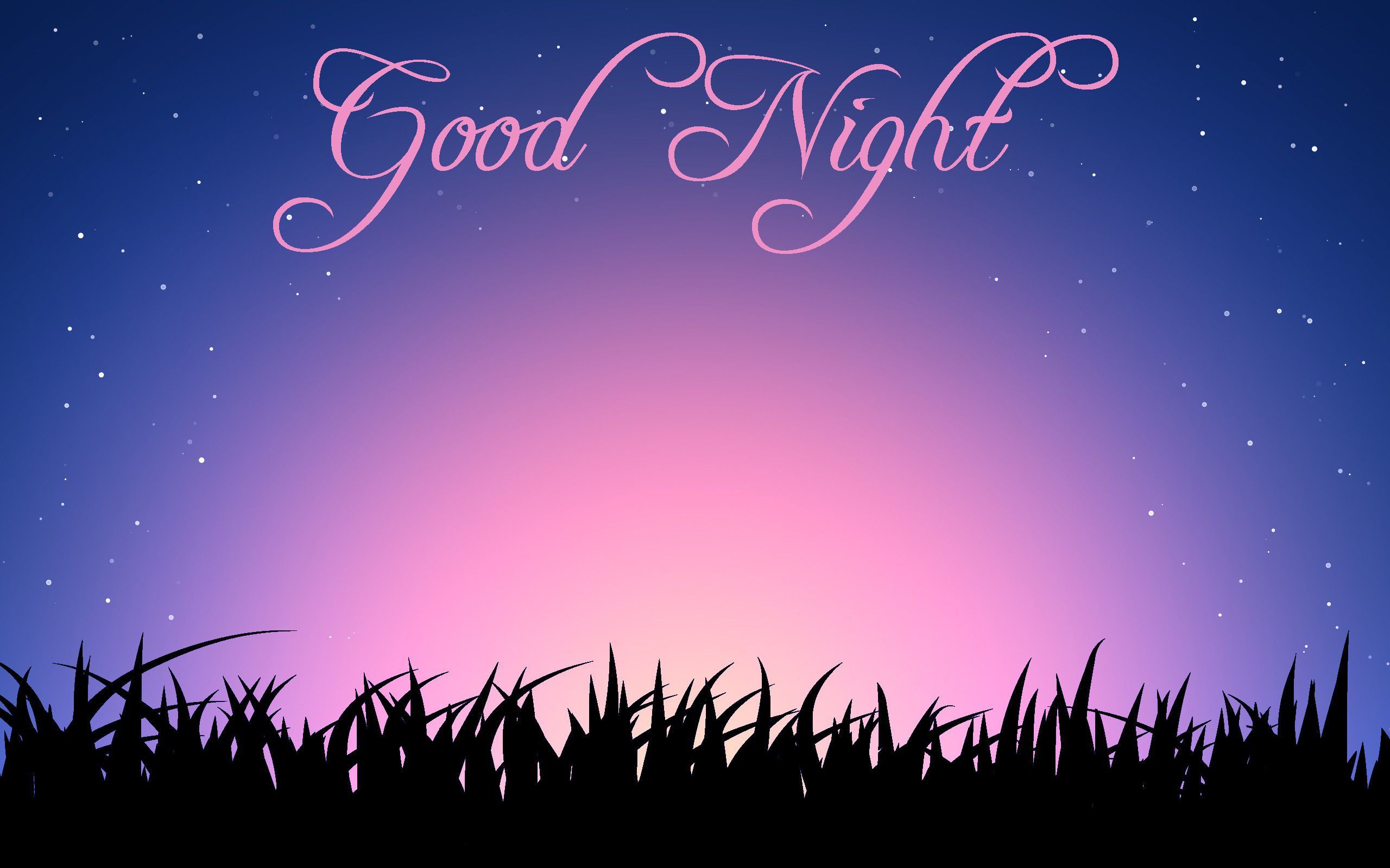 Buonanotte cielo stellato erba, 2560x1600 WQXGA, MacBook Pro