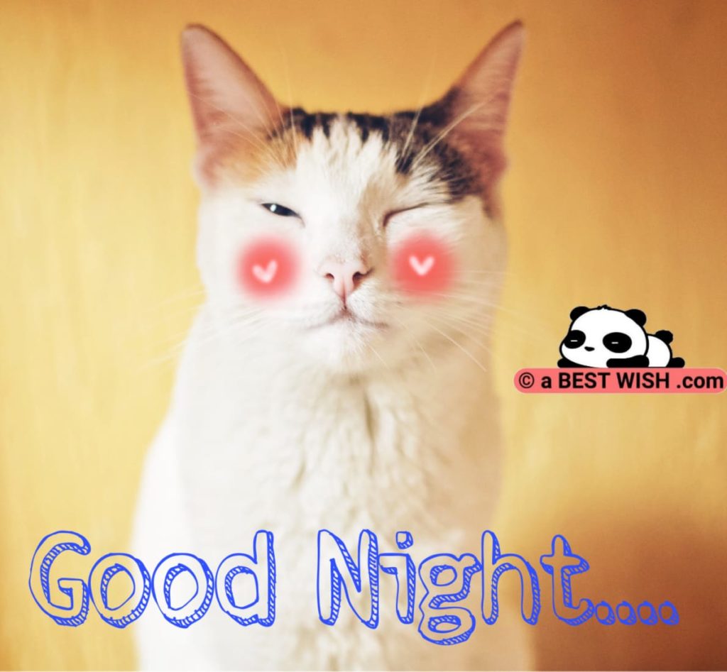 Neonato che dorme, citazione buonanotte, 1280x987 HD, Desktop